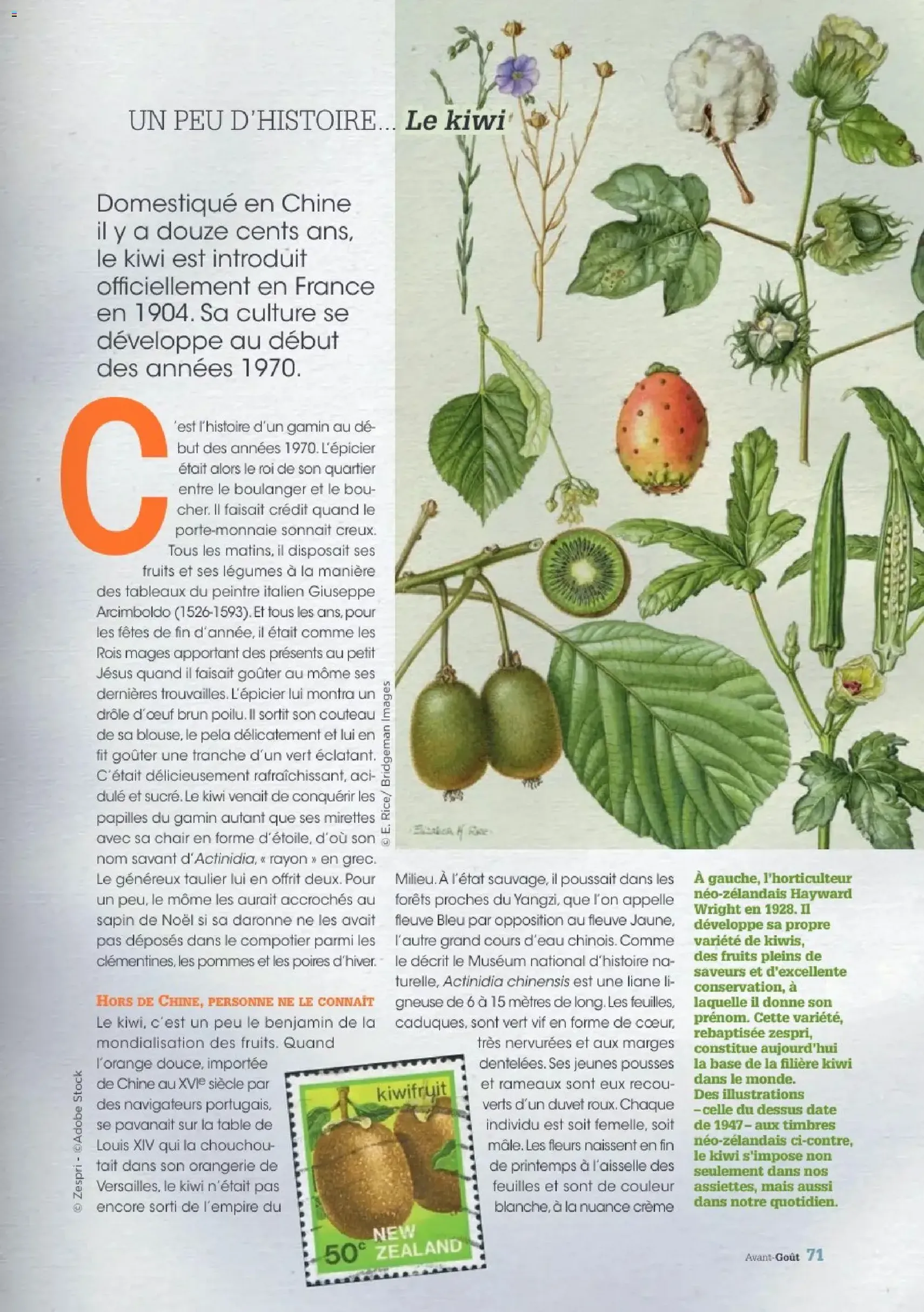 Grand Frais catalogue - brochure valable à partir du 01/12/2025, page 71 sur 76