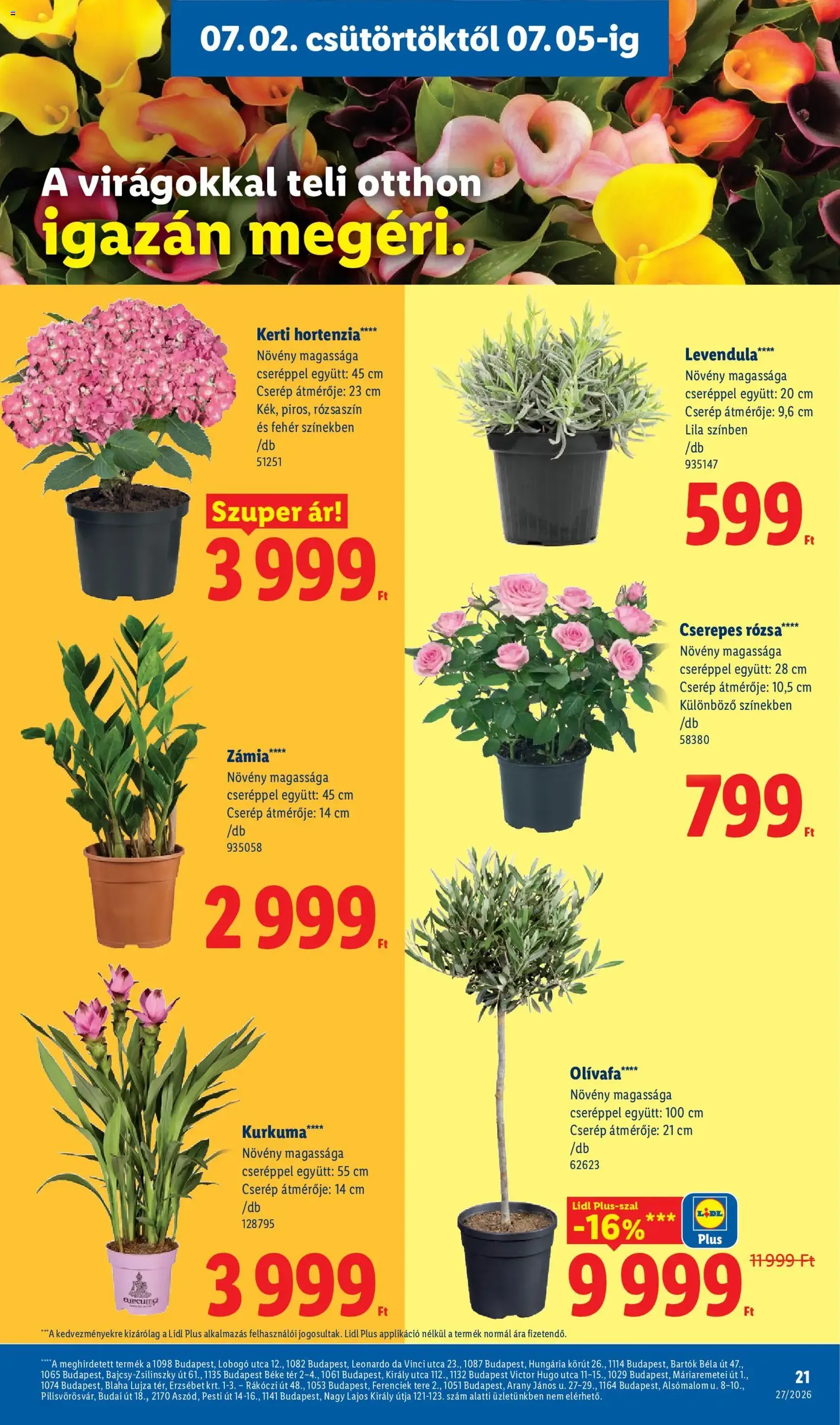 Lidl akciós újság - 2026.07.02. érvényes szórólap 21 oldal 86 oldalból