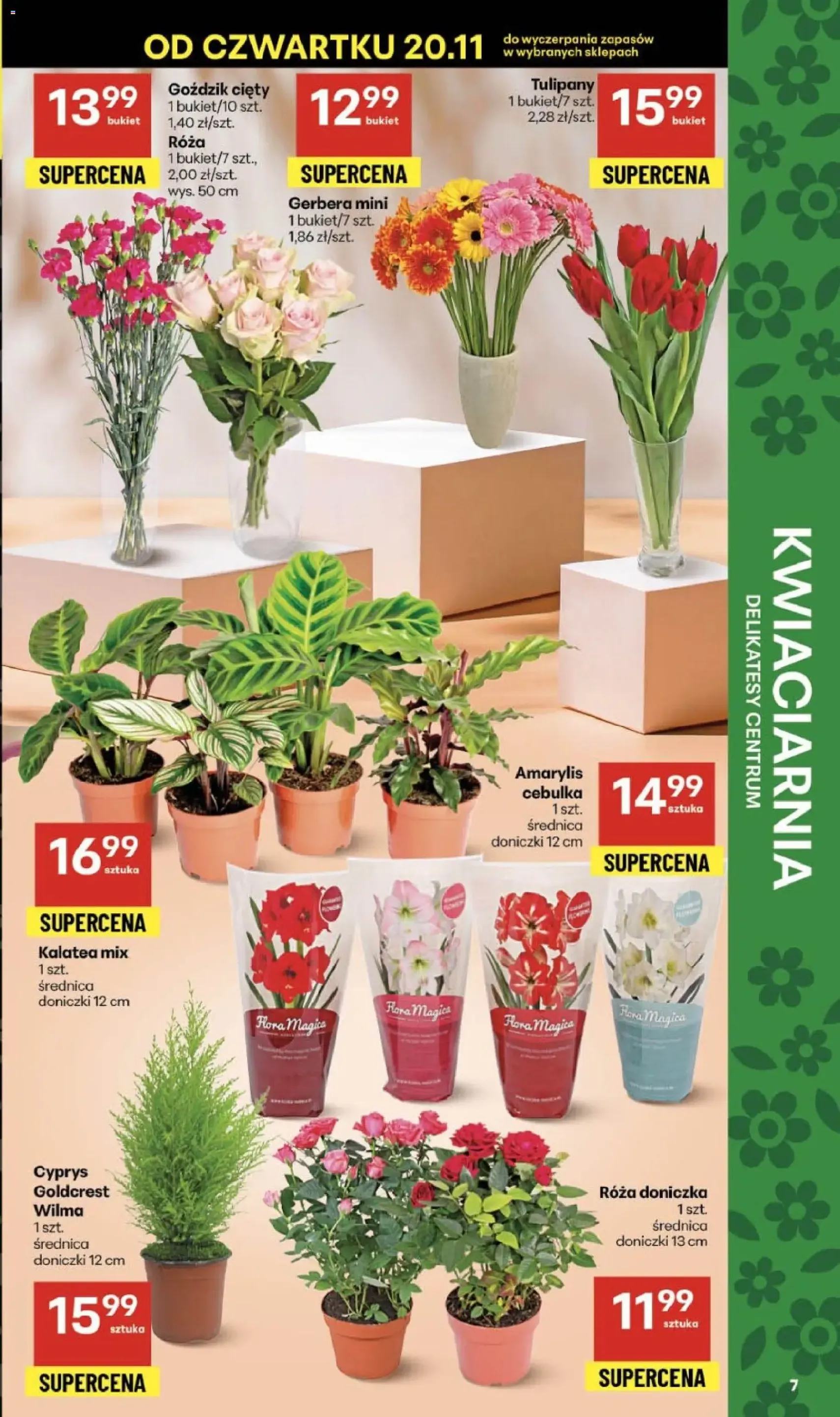 Delikatesy Centrum Black Friday - ważny gazetka od 20.11.2025 strona 7 z 40