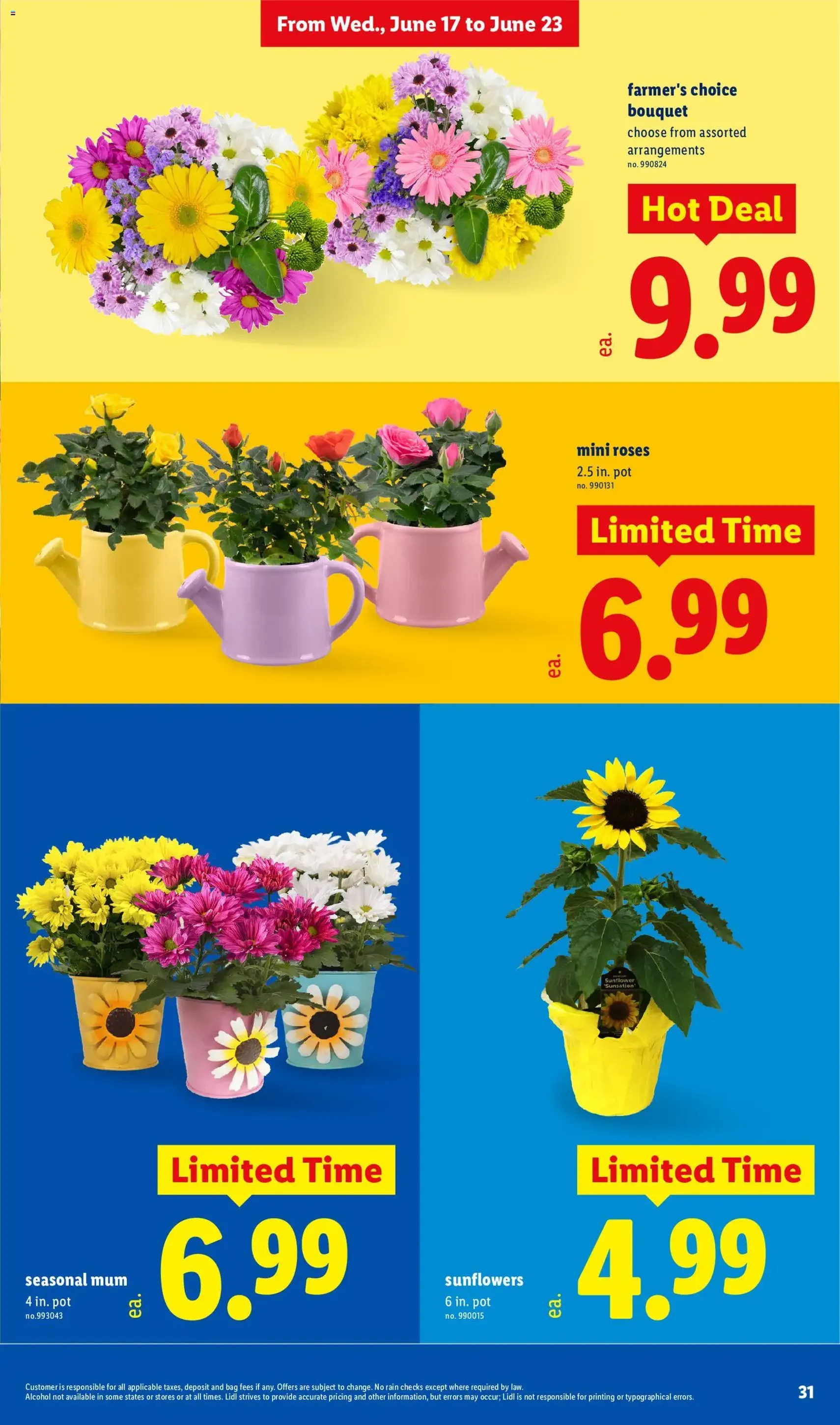 Lidl Weekly Ad - valid flyer from 06/17/2026, page 31 of 40