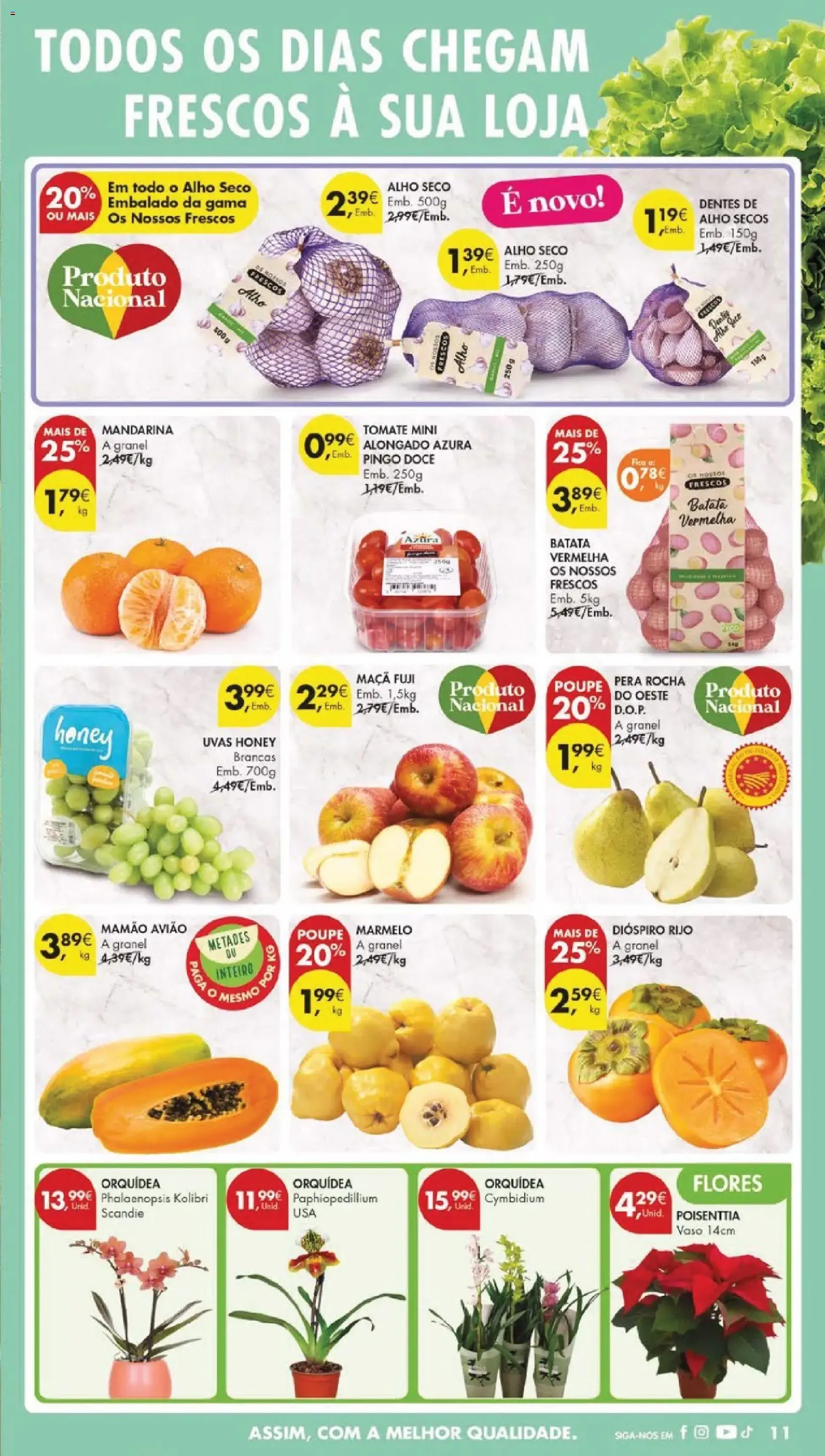 Pingo Doce folheto - folheto válido a partir de 02/12/2025 página 13 de 57