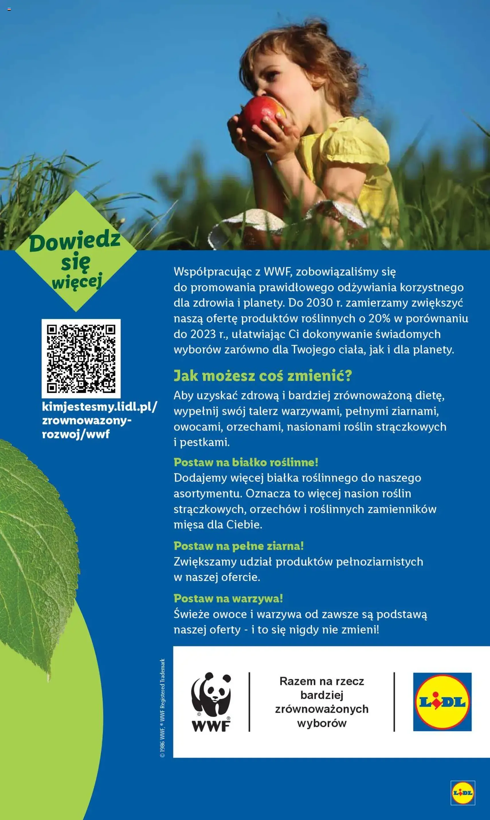 Lidl Gazetka - ważny gazetka od 28.08.2025 strona 55 z 59 Lidl Gazetka - ważny gazetka od 28.08.2025 strona 55 z 59