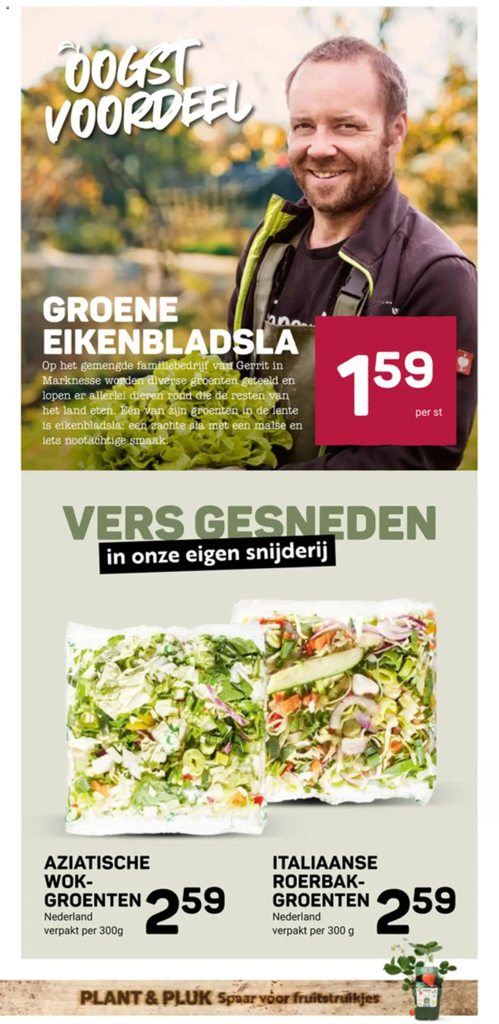 Ekoplaza folder - geldige folder vanaf 27-05-2026 pagina 9 van 16