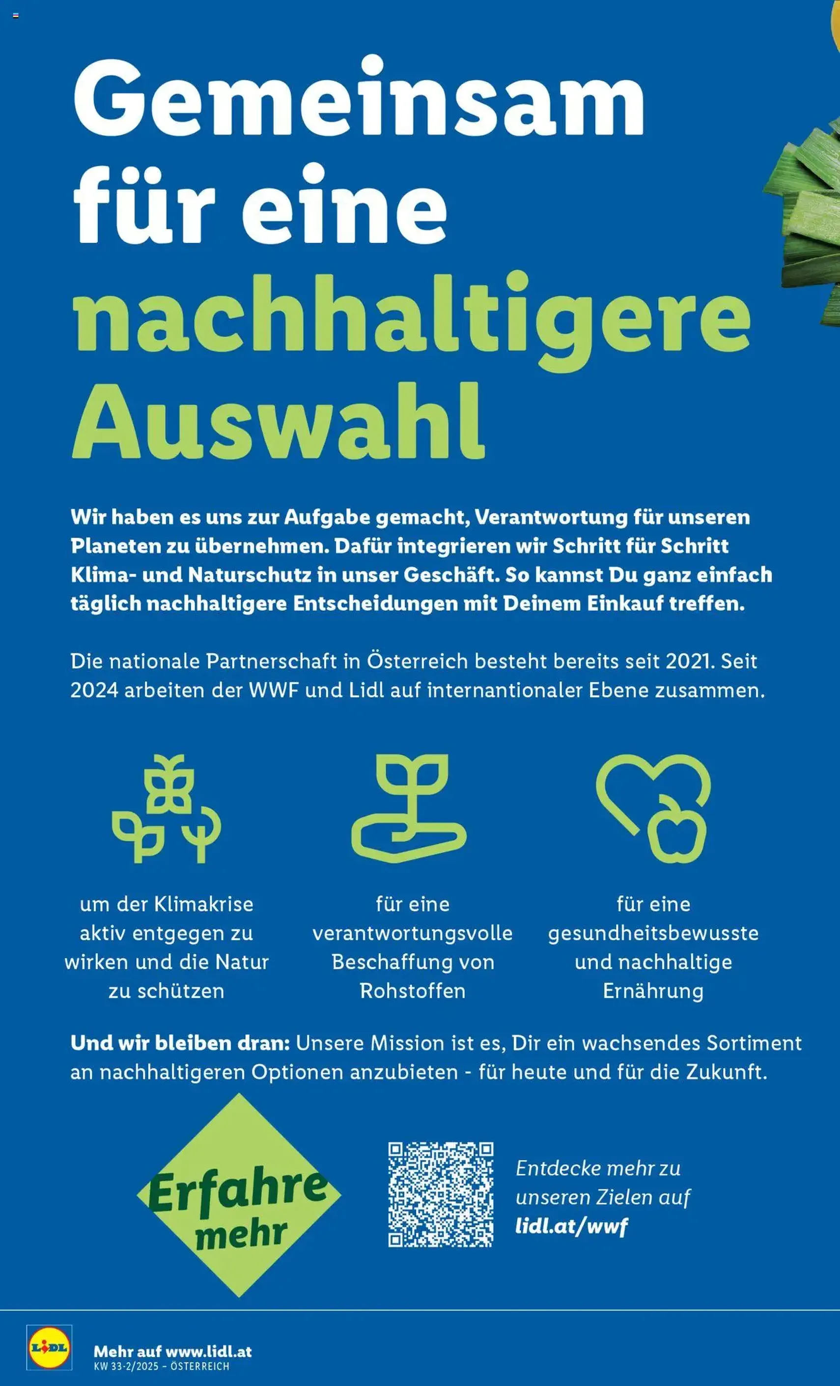 Lidl Flugblatt - Gültiger Prospekt ab 14.08.2025, Seite 12 von insgesamt 42 Lidl Flugblatt - Gültiger Prospekt ab 14.08.2025, Seite 12 von insgesamt 42