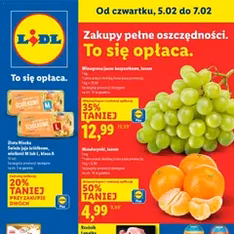 Lidl Gazetka - podgląd gazetki ważnej od 05.02.2026