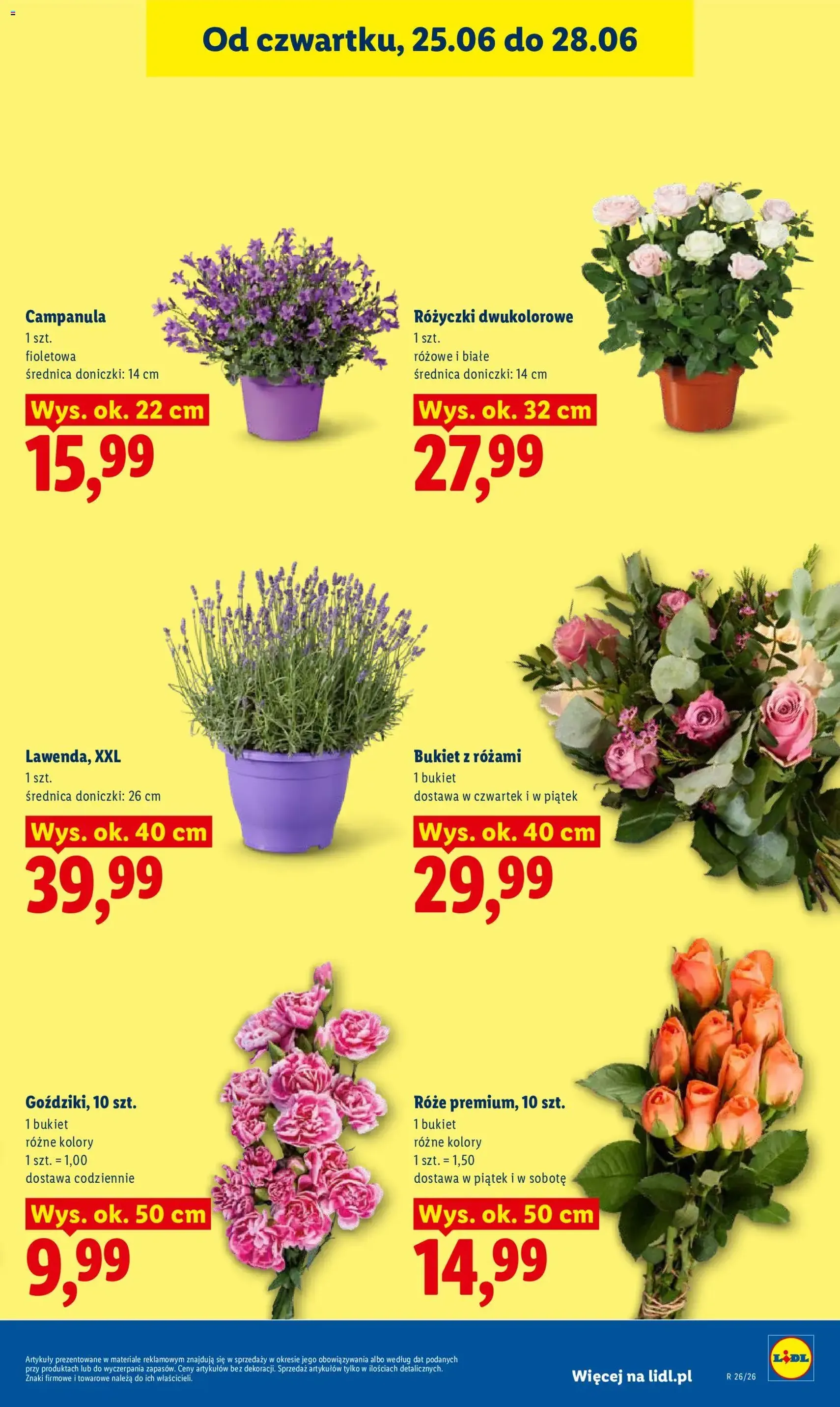 Lidl gazetka - ważny gazetka od 25.06.2026 strona 41 z 96