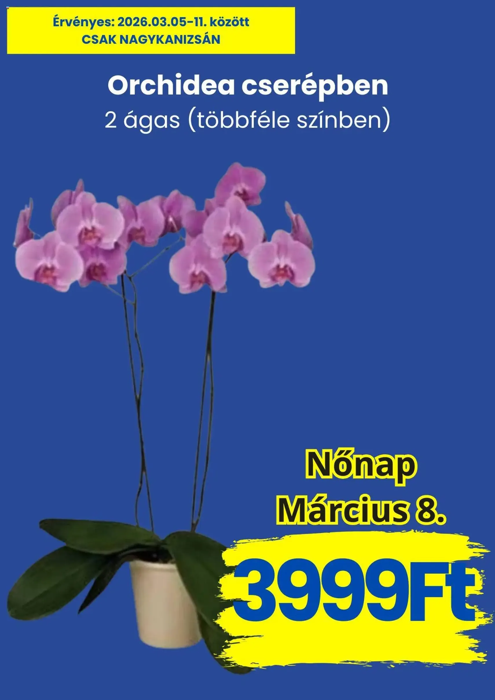 Magnetic akciós újság - 2026.03.05. érvényes szórólap 2 oldal 10 oldalból