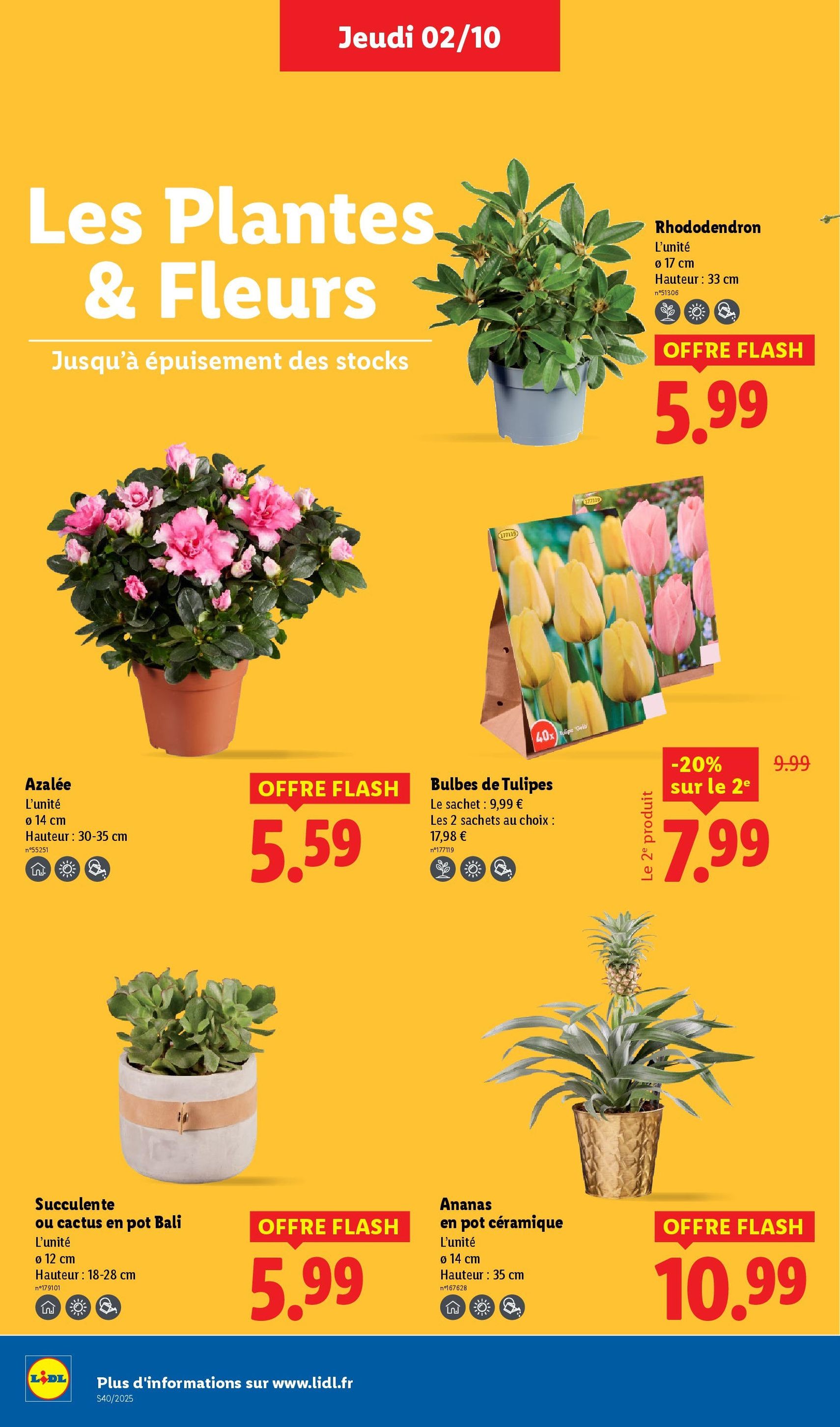 LIDL catalogue semaine 40 - brochure valable à partir du 02/10/2025, page 28 sur 76 LIDL catalogue semaine 40 - brochure valable à partir du 02/10/2025, page 28 sur 76