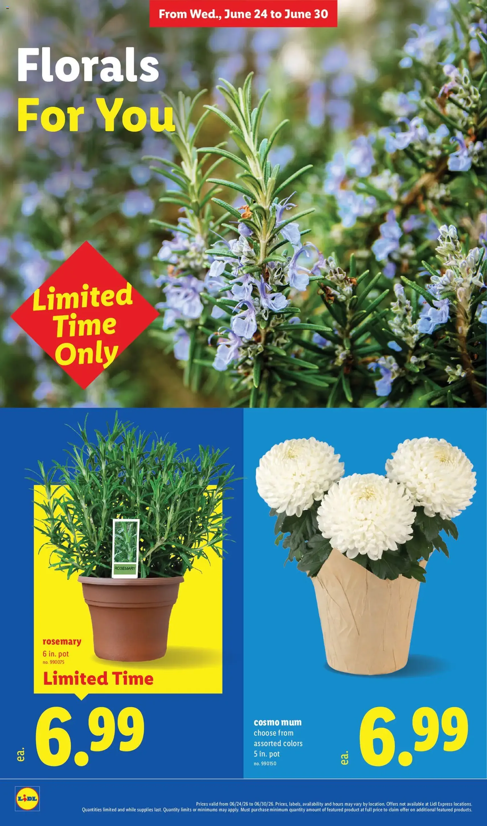 Lidl Weekly Ad - valid flyer from 06/24/2026, page 30 of 40