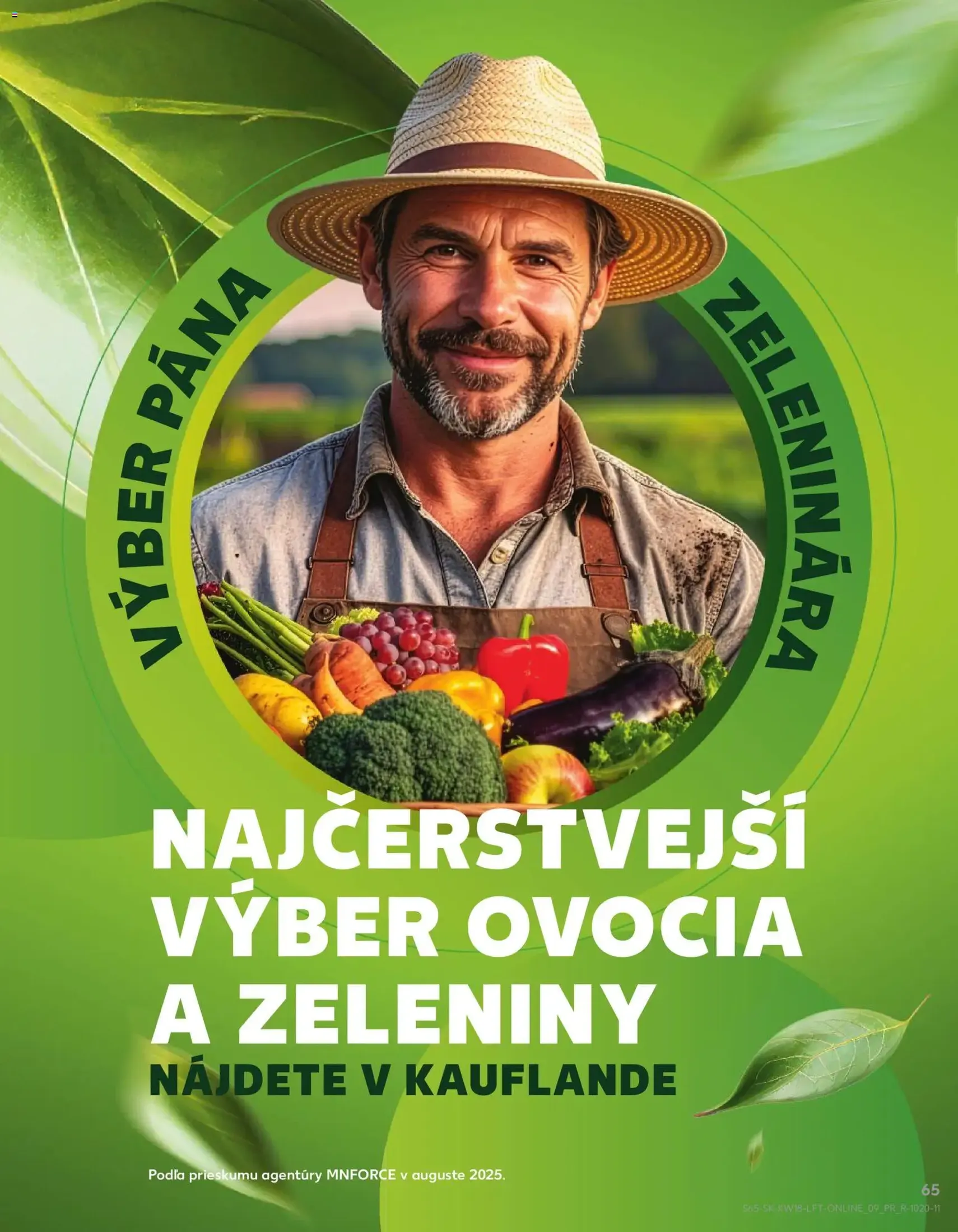 Kaufland leták - platný leták od 30.04.2026 strana 65 z 72