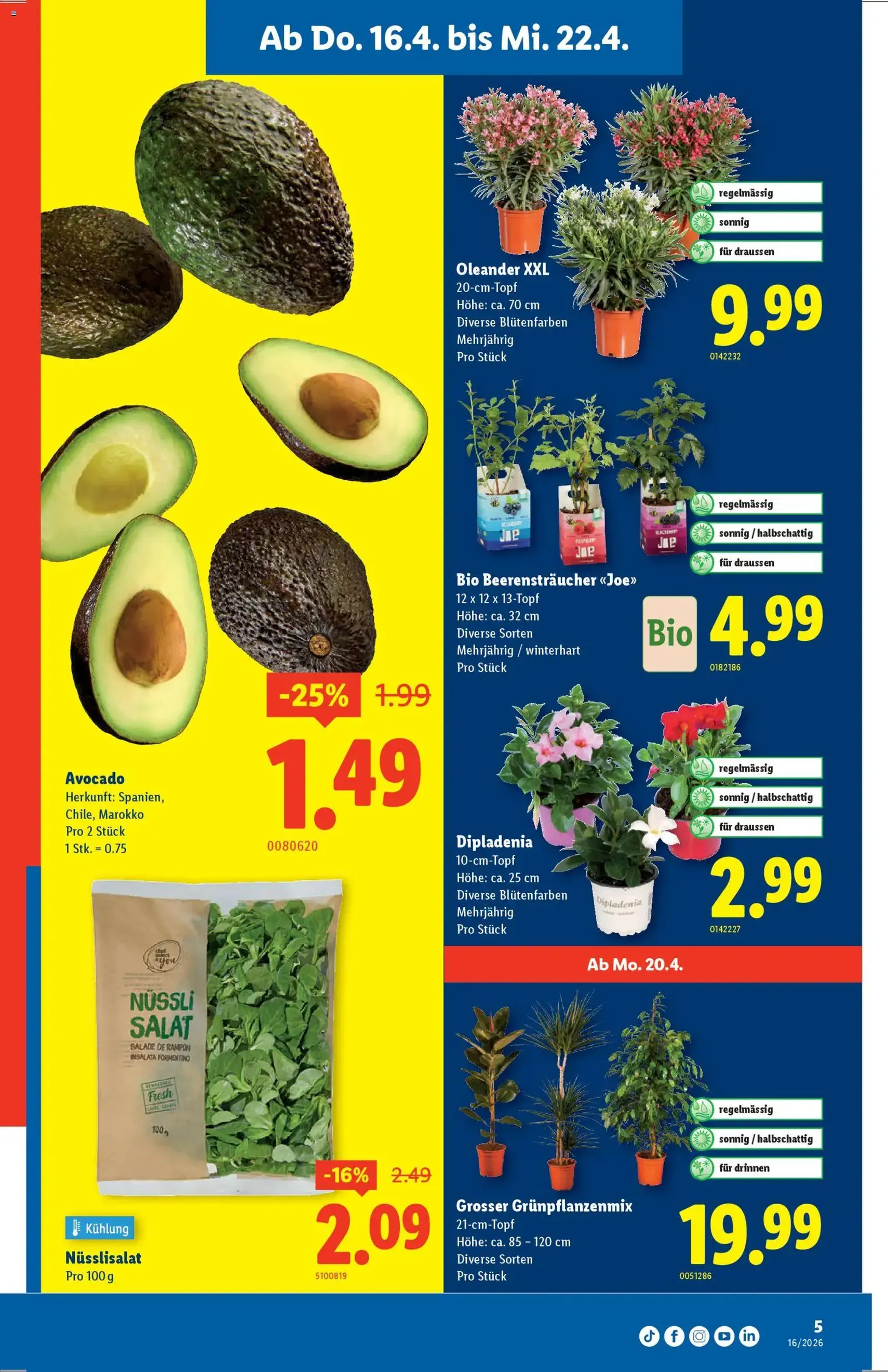 Lidl aktionen - Gültiger Prospekt ab 16.04.2026, Seite 5 von insgesamt 32