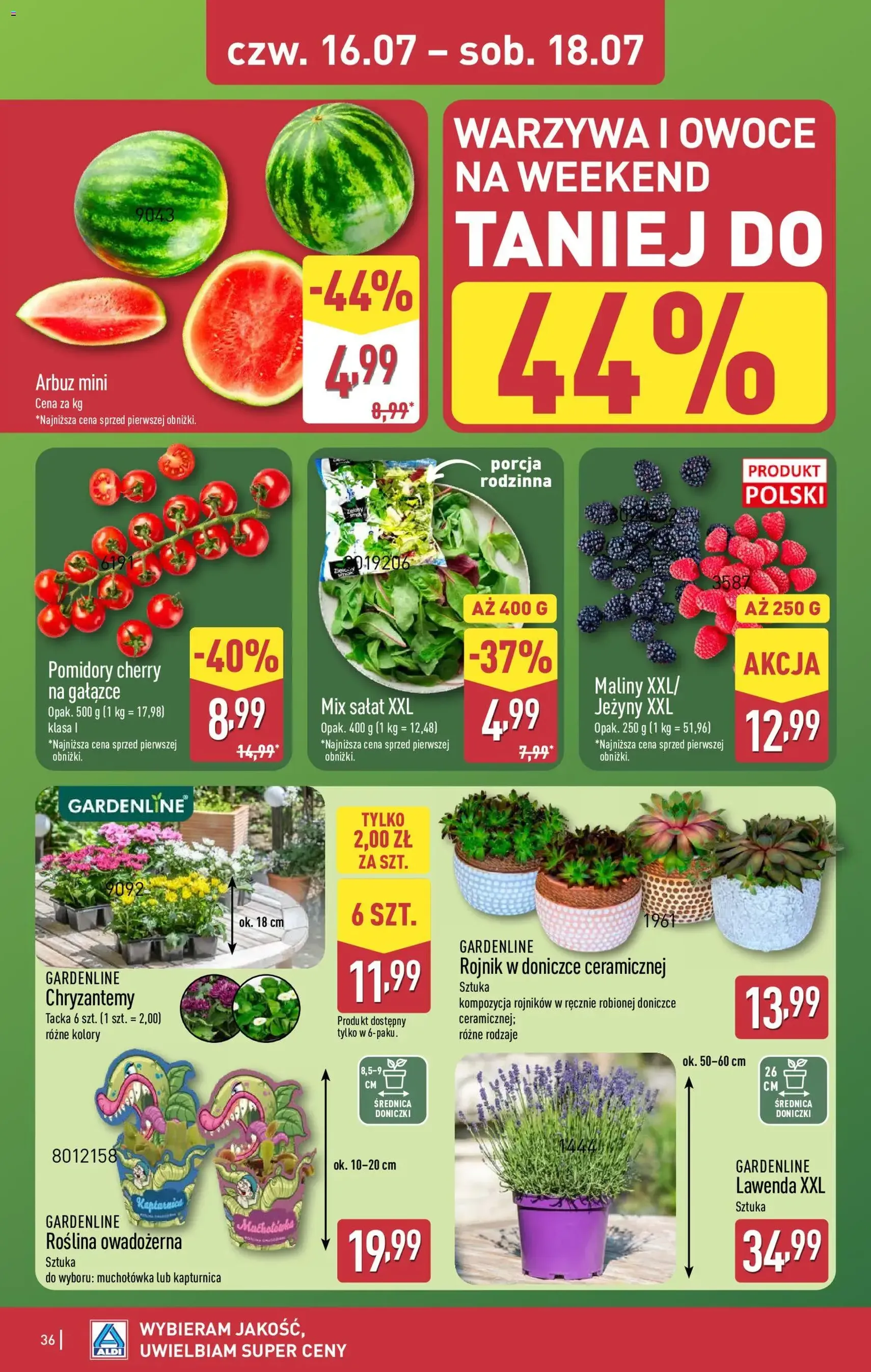 Aldi gazetka - ważny gazetka od 13.07.2026 strona 36 z 45