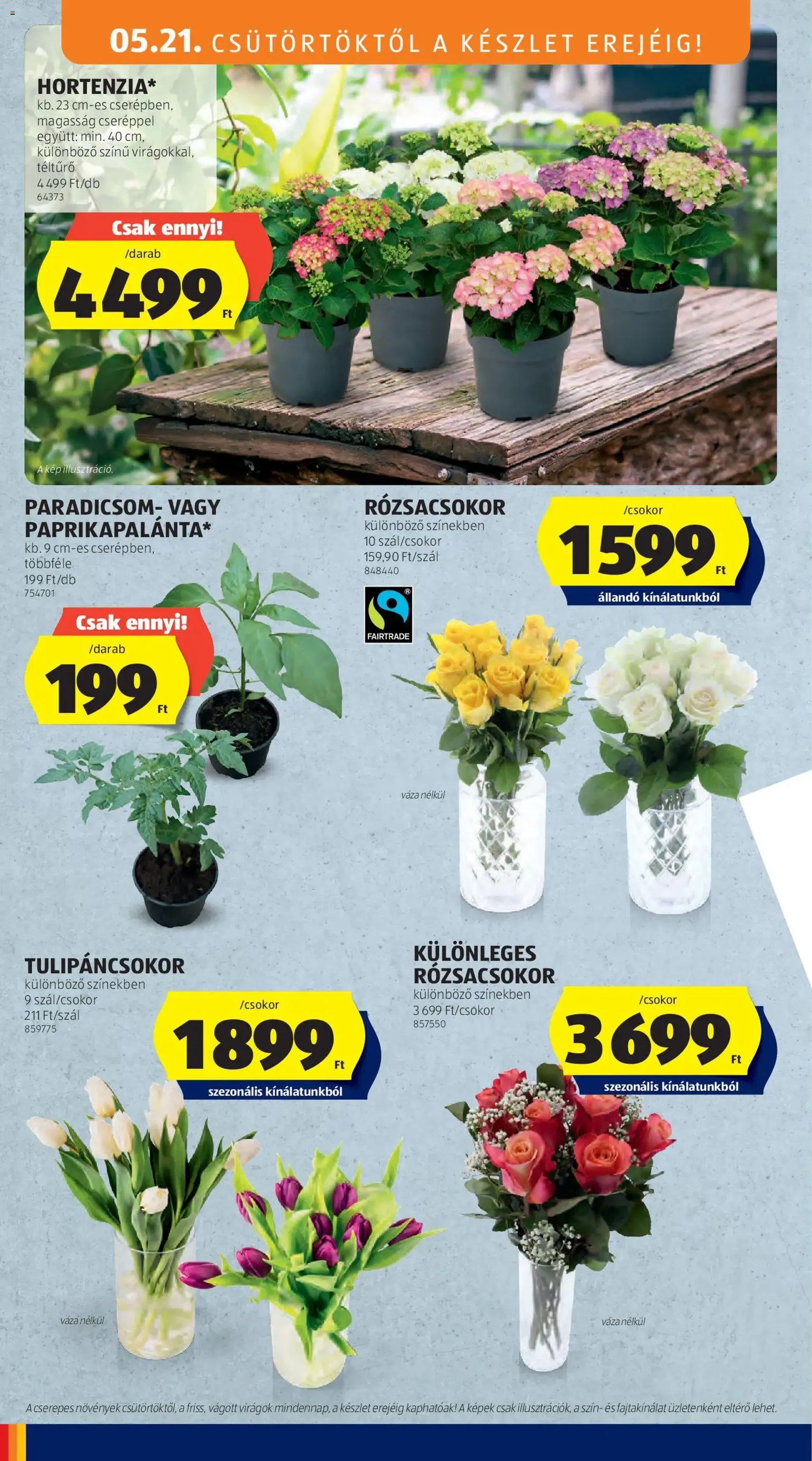 Aldi akciós újság - 2026.05.21. érvényes szórólap 32 oldal 65 oldalból