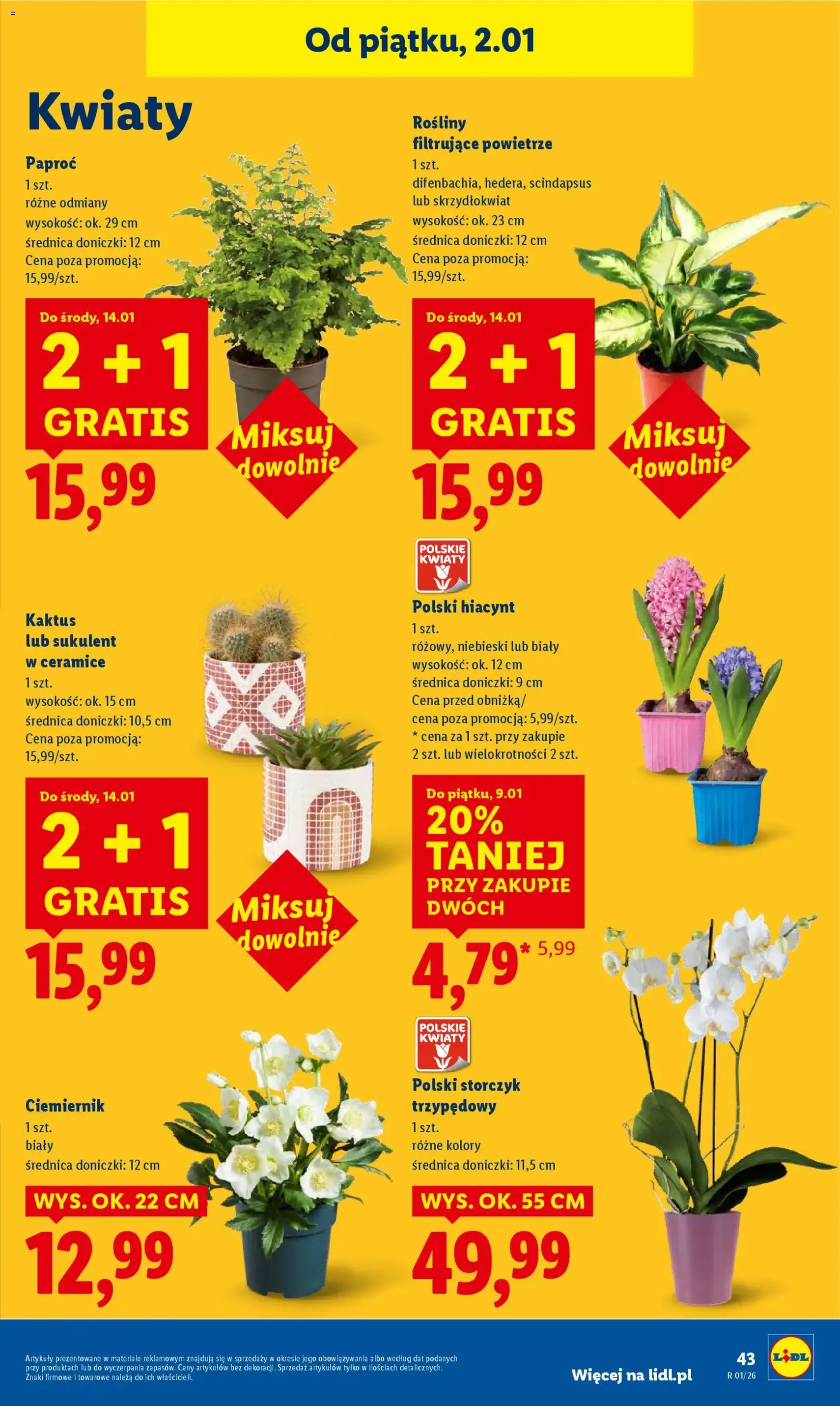 Lidl Gazetka - ważny gazetka od 02.01.2026 strona 45 z 51
