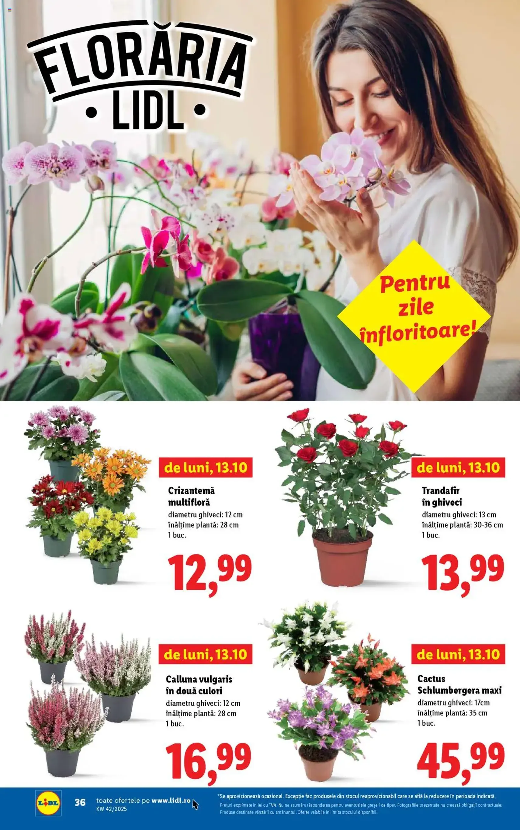 Catalog Lidl - cataloage valabile începând cu 13.10.2025 pagina 36 din 58