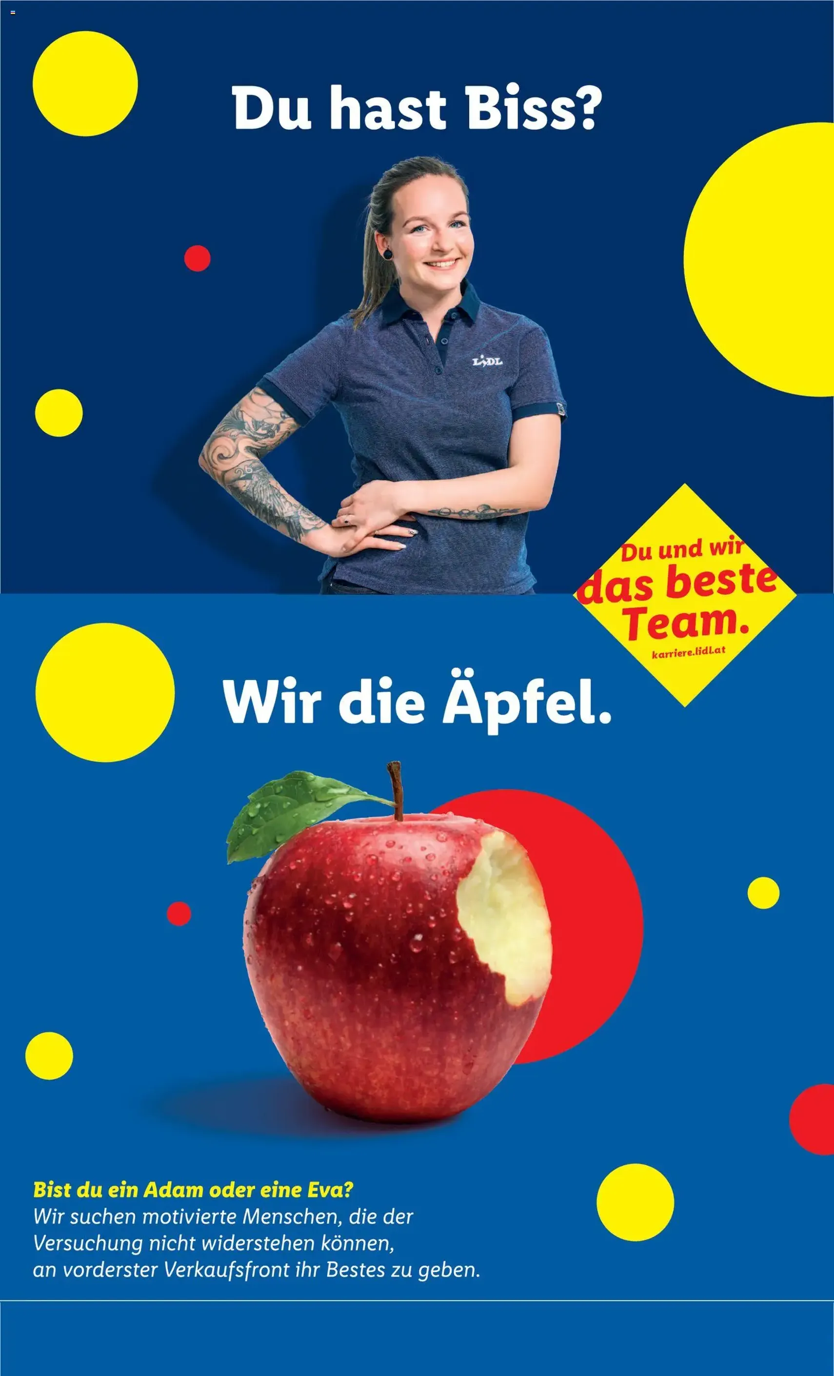 Lidl Flugblatt - Dornbirn, Feldkirch, Graz - Gültiger Prospekt ab 19.03.2026, Seite 46 von insgesamt 47