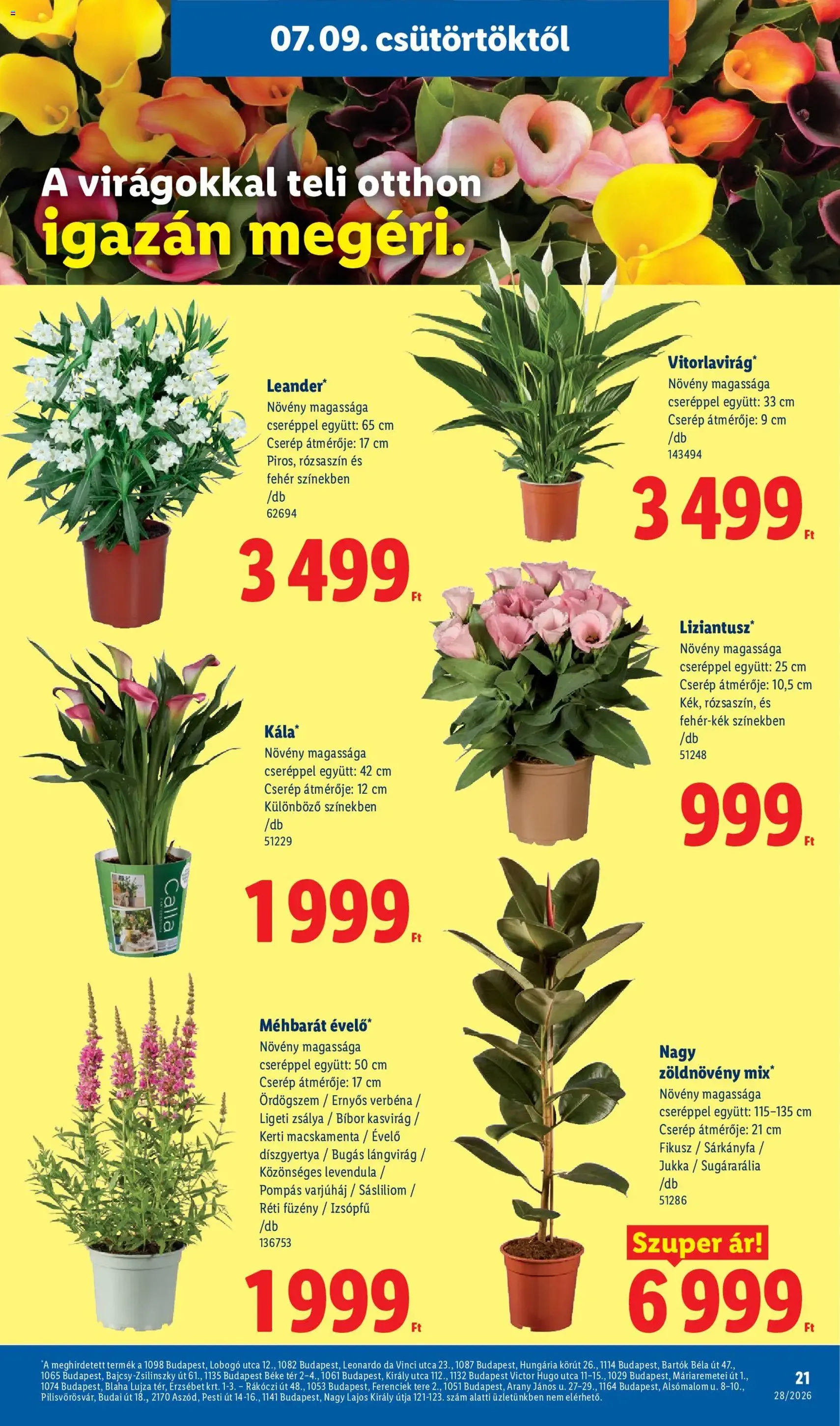 Lidl akciós újság - 2026.07.09. érvényes szórólap 21 oldal 80 oldalból