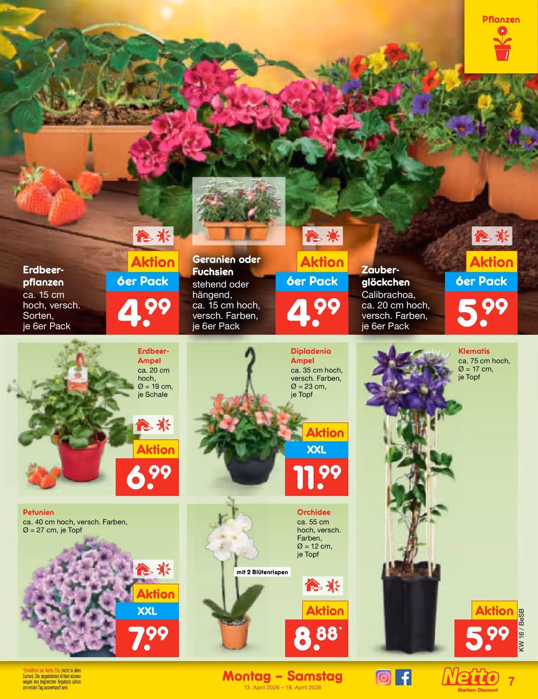 Netto Marken-Discount Prospekt - Gültiger Prospekt ab 13.04.2026, Seite 9 von insgesamt 65