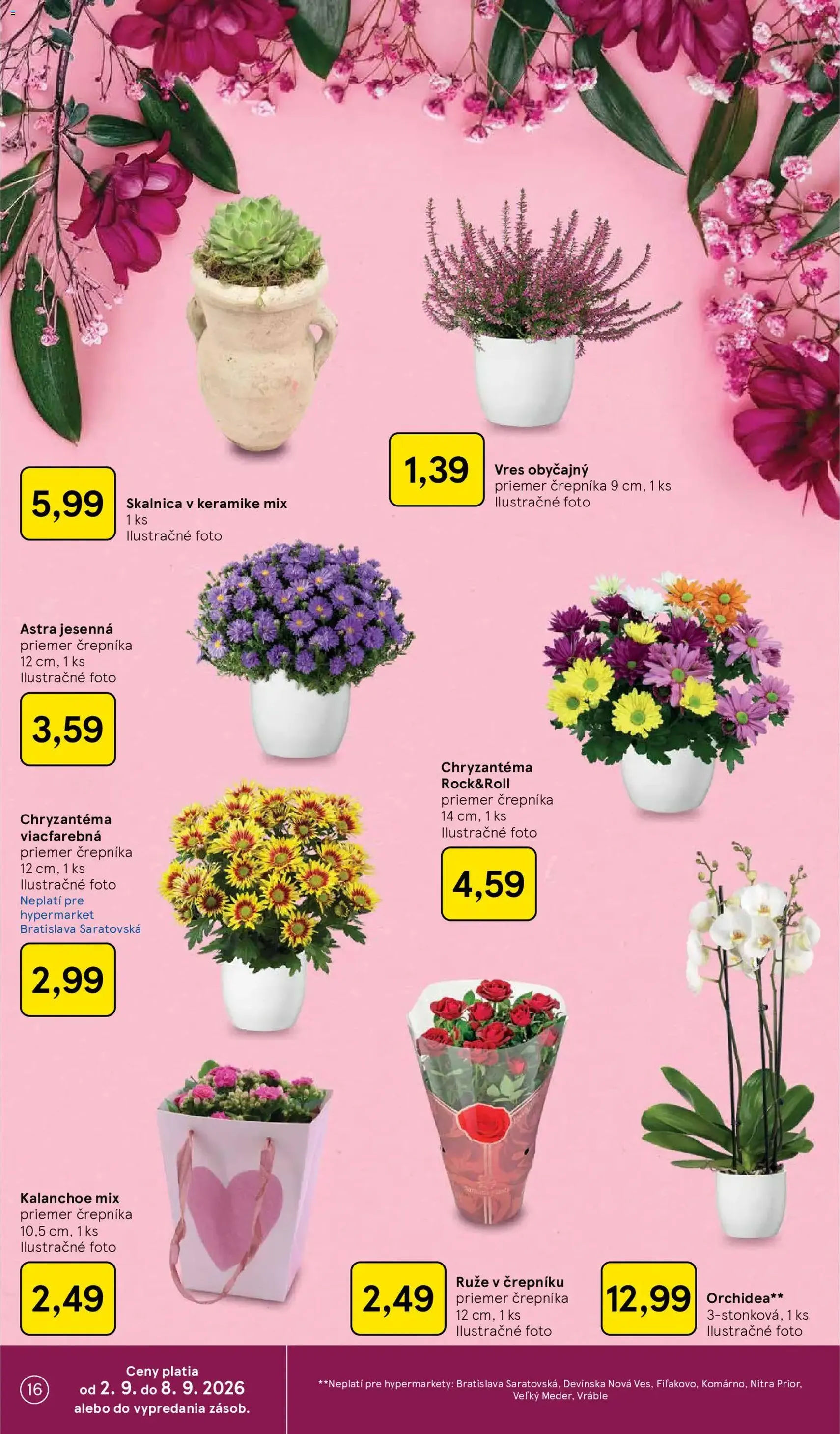 Tesco Hypermarket - leták - platný leták od 02.09.2026 strana 16 z 41