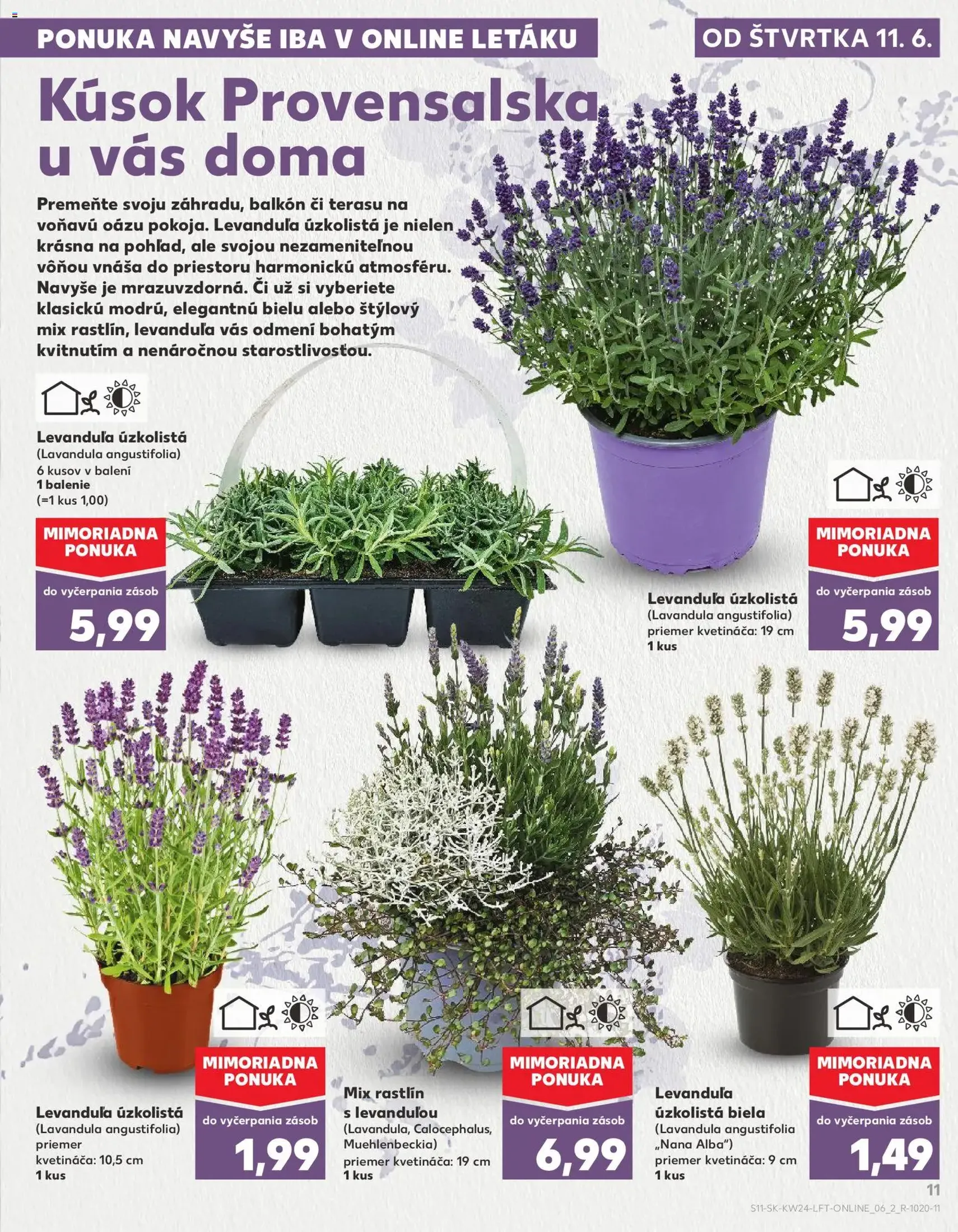 Kaufland leták - platný leták od 11.06.2026 strana 11 z 78