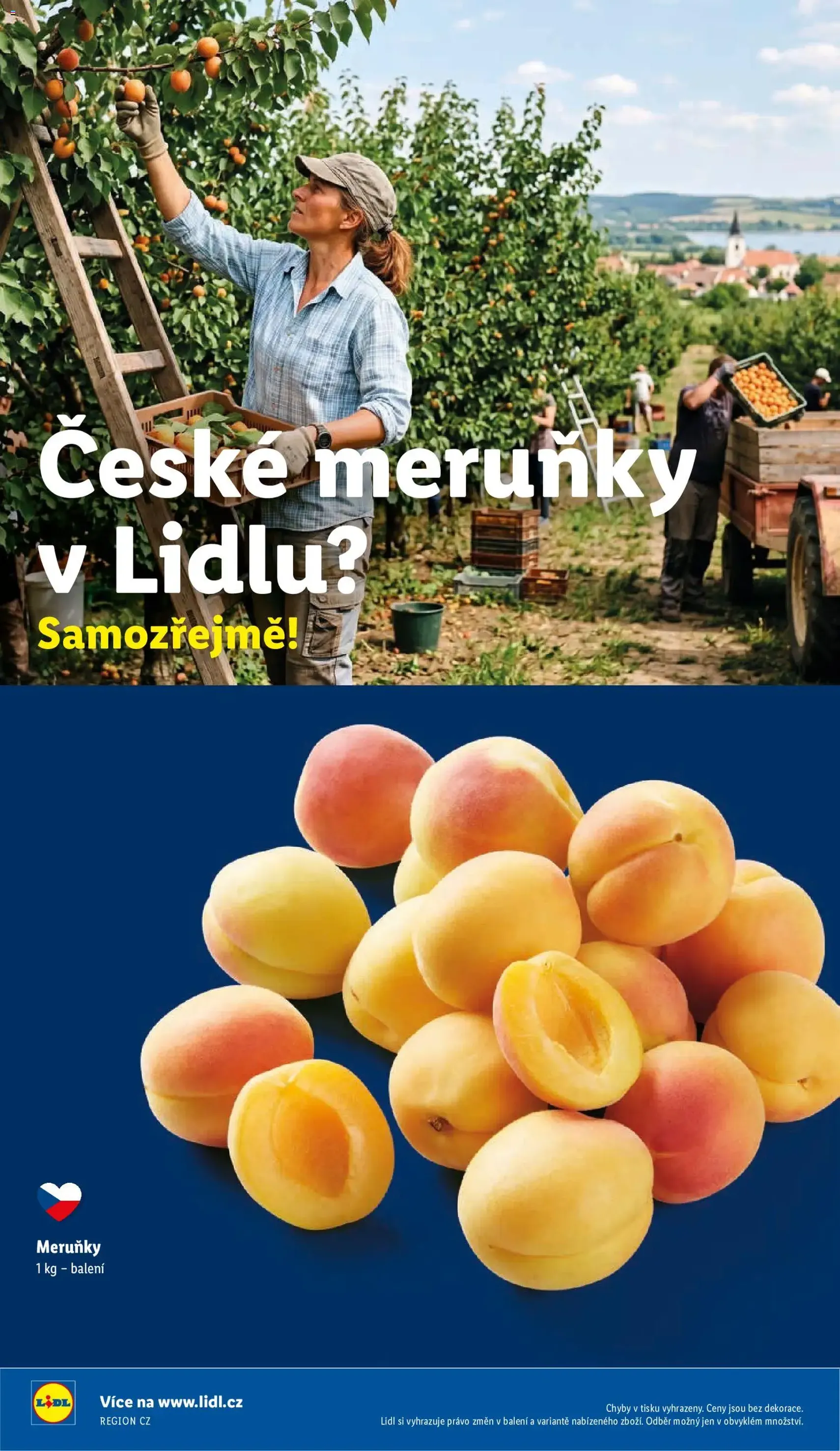 Lidl leták - platný leták od 29.06.2026 strana 54 z 58