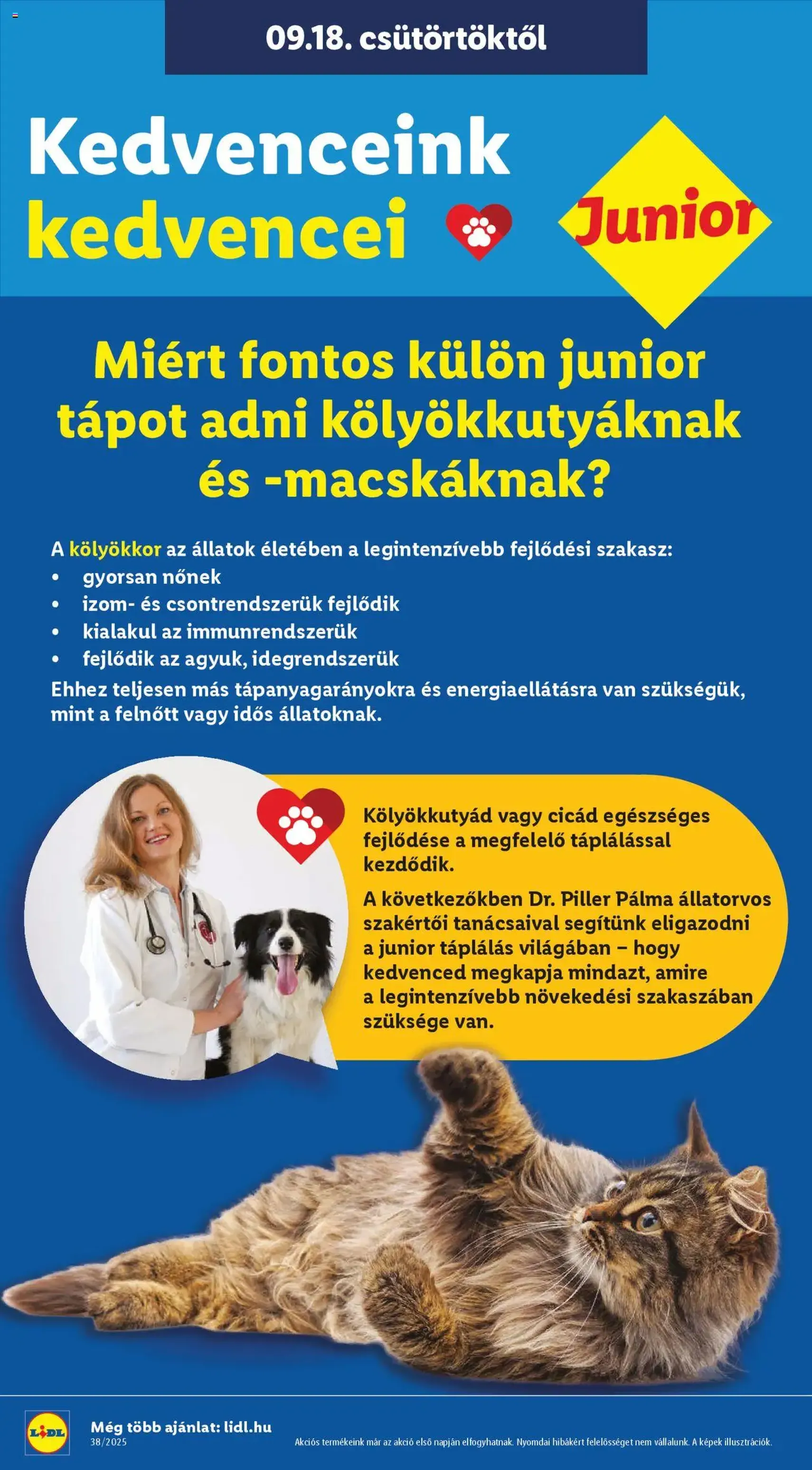 Lidl Akciós újság - 2025.09.18. érvényes szórólap 30 oldal 74 oldalból