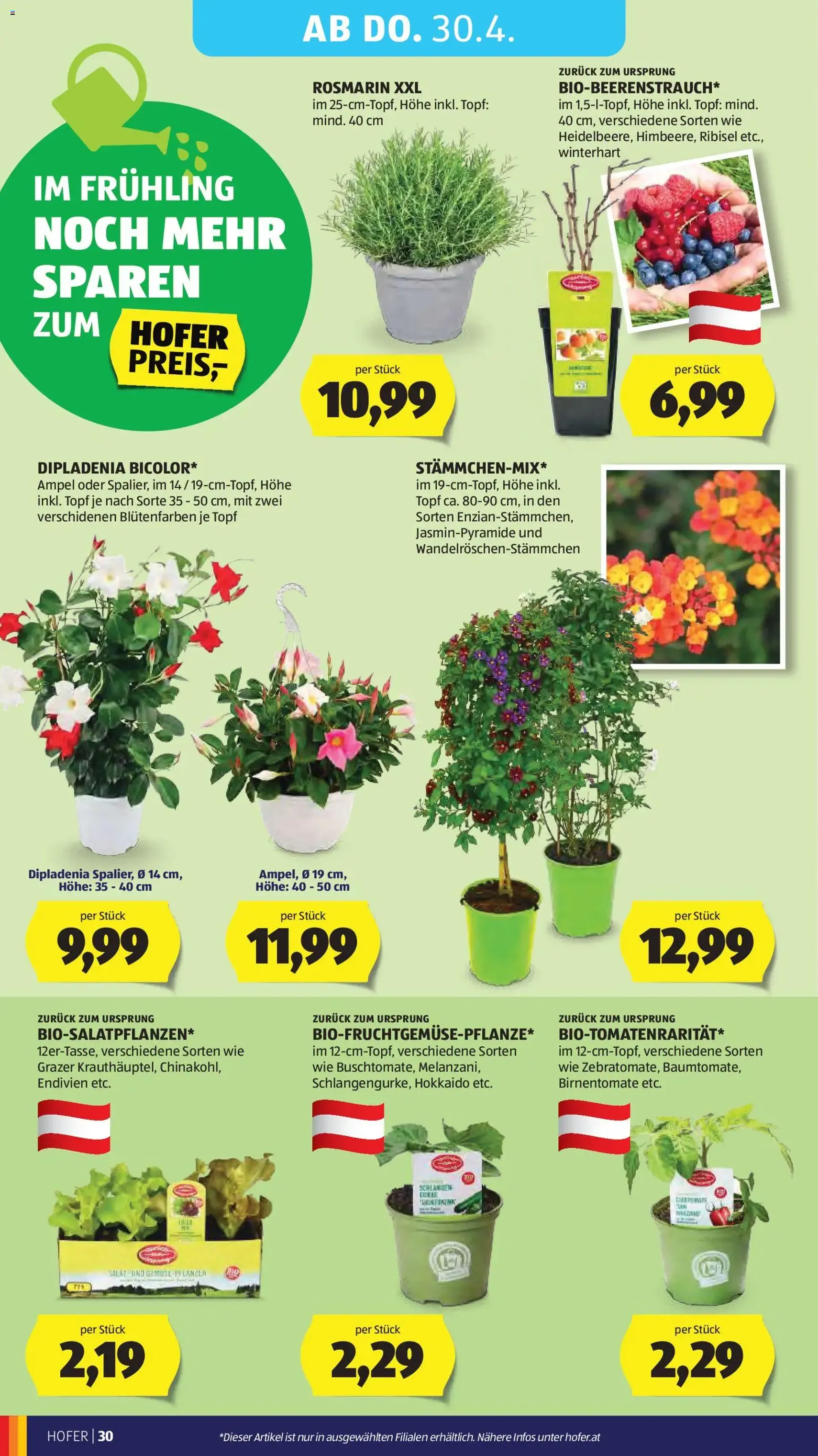 Hofer Flugblatt - Gültiger Prospekt ab 22.04.2026, Seite 34 von insgesamt 41