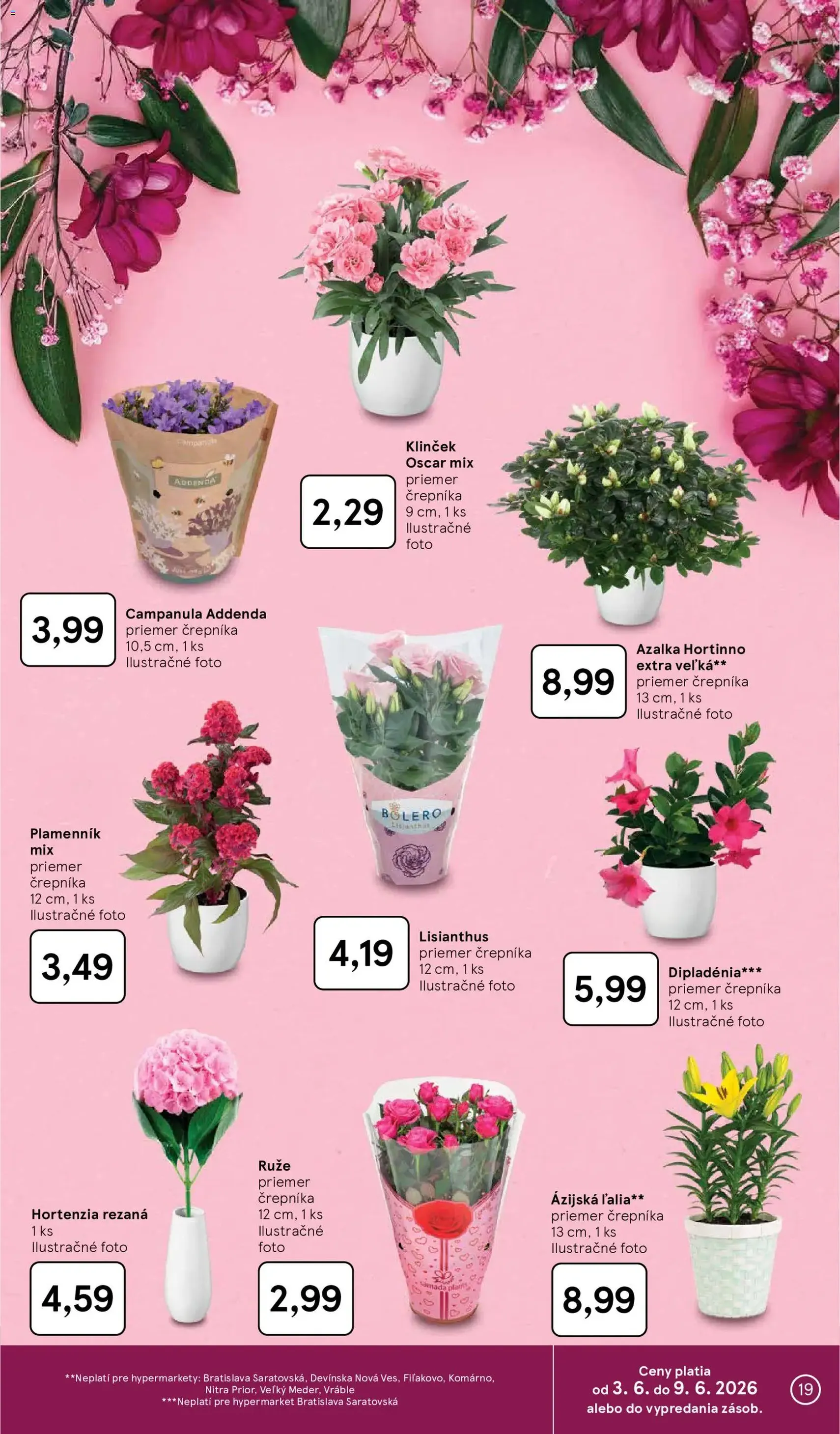 Tesco Hypermarket - leták - platný leták od 03.06.2026 strana 19 z 52