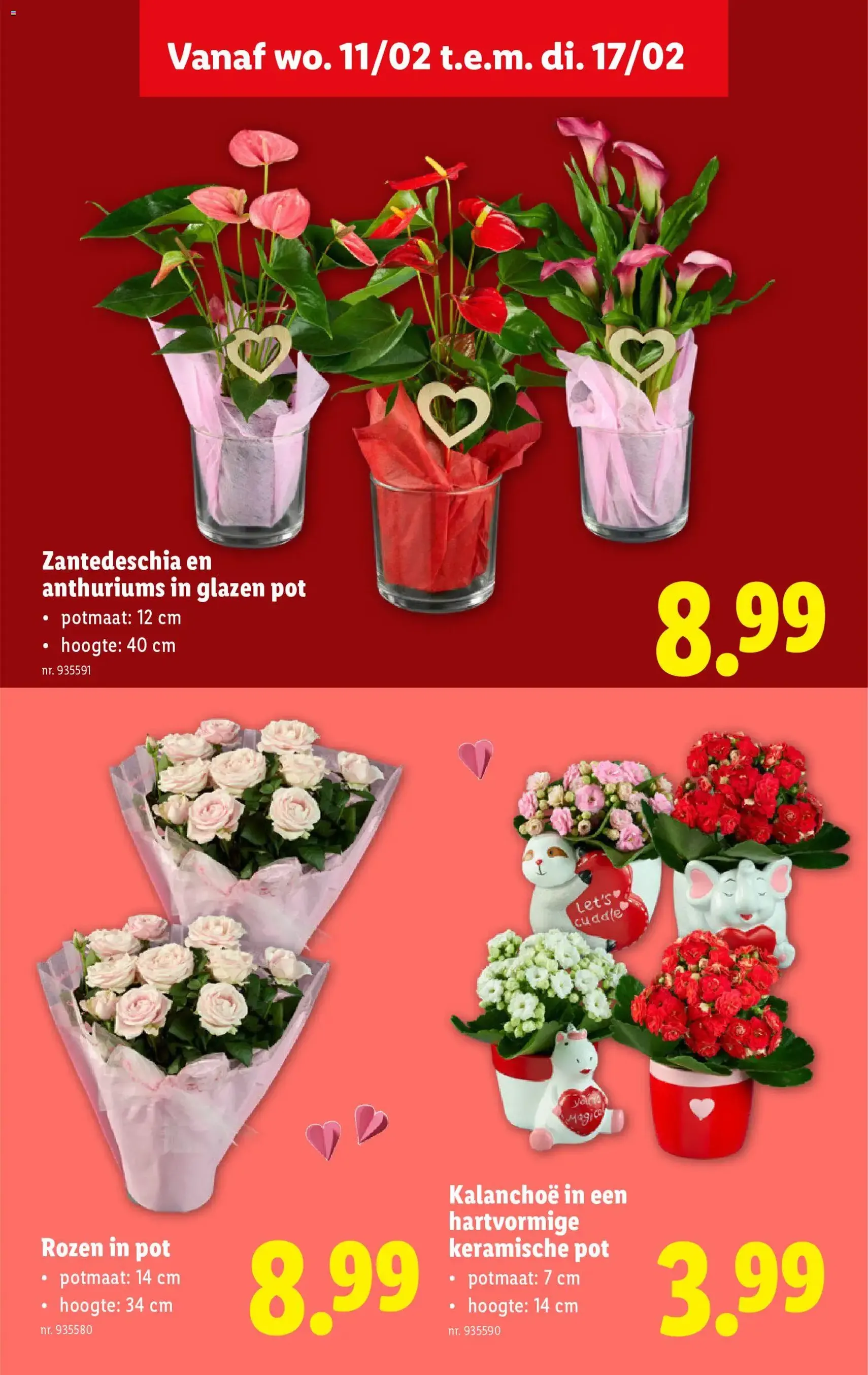 Lidl Folder week 7 - geldige folder vanaf 11/02/2026 pagina 33 van 61