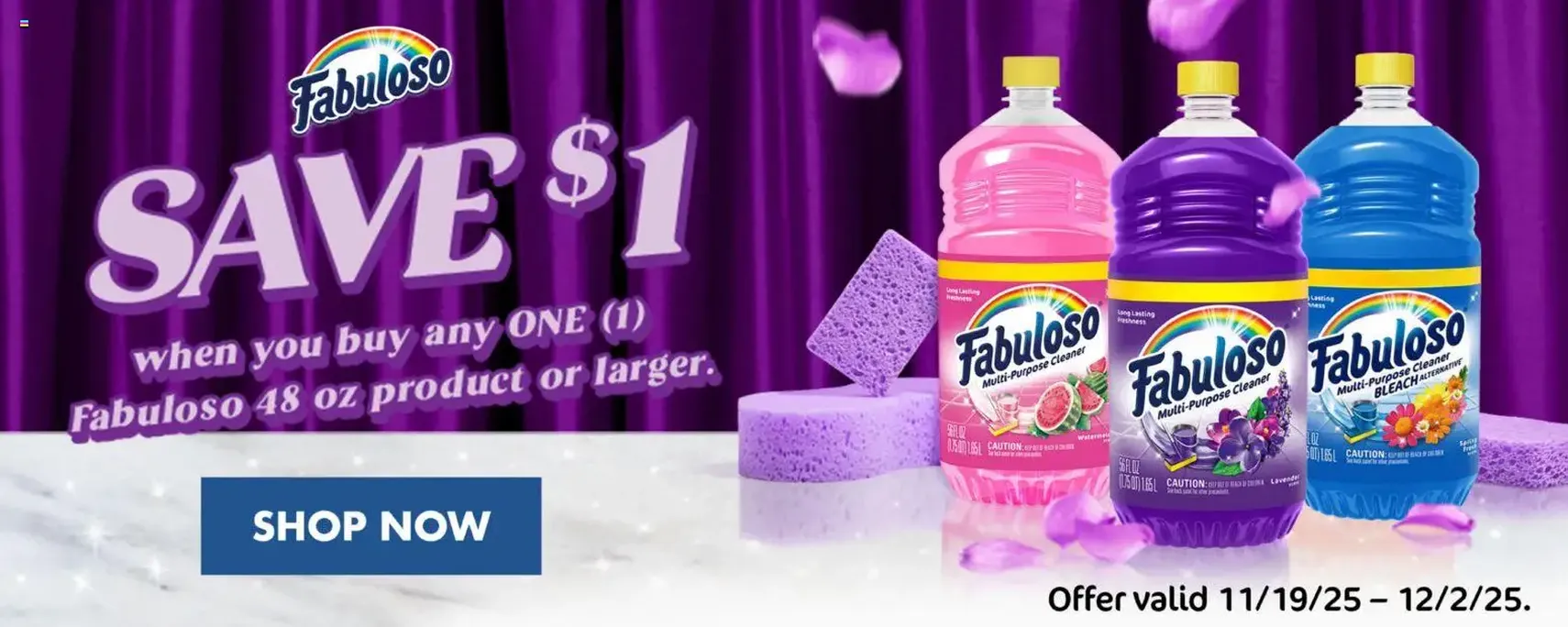 Food Lion Weekly Ad - valid flyer from 11/28/2025, page 10 of 13