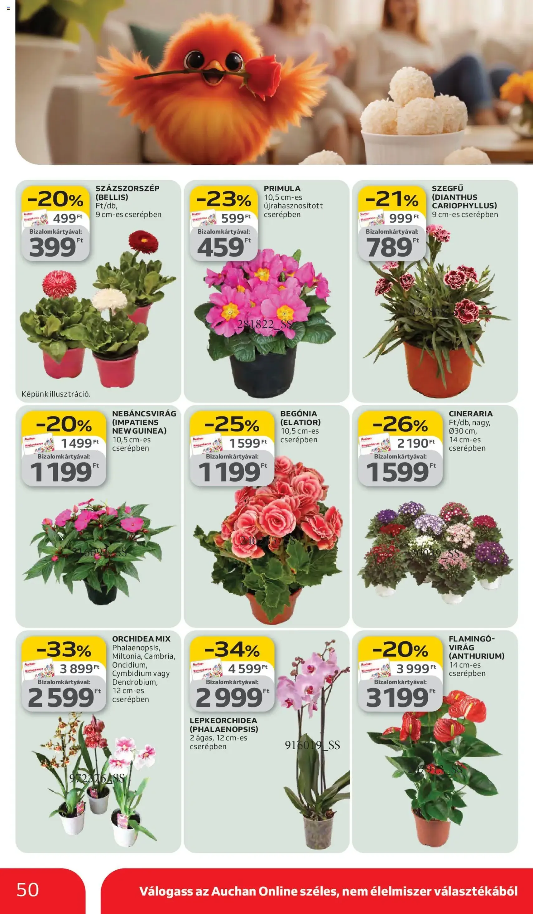 Auchan akciós újság - 2026.03.05. érvényes szórólap 50 oldal 60 oldalból