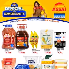 Encarte Assaí Atacadista - pré-visualização do folheto, válido a partir de 16/02/2026