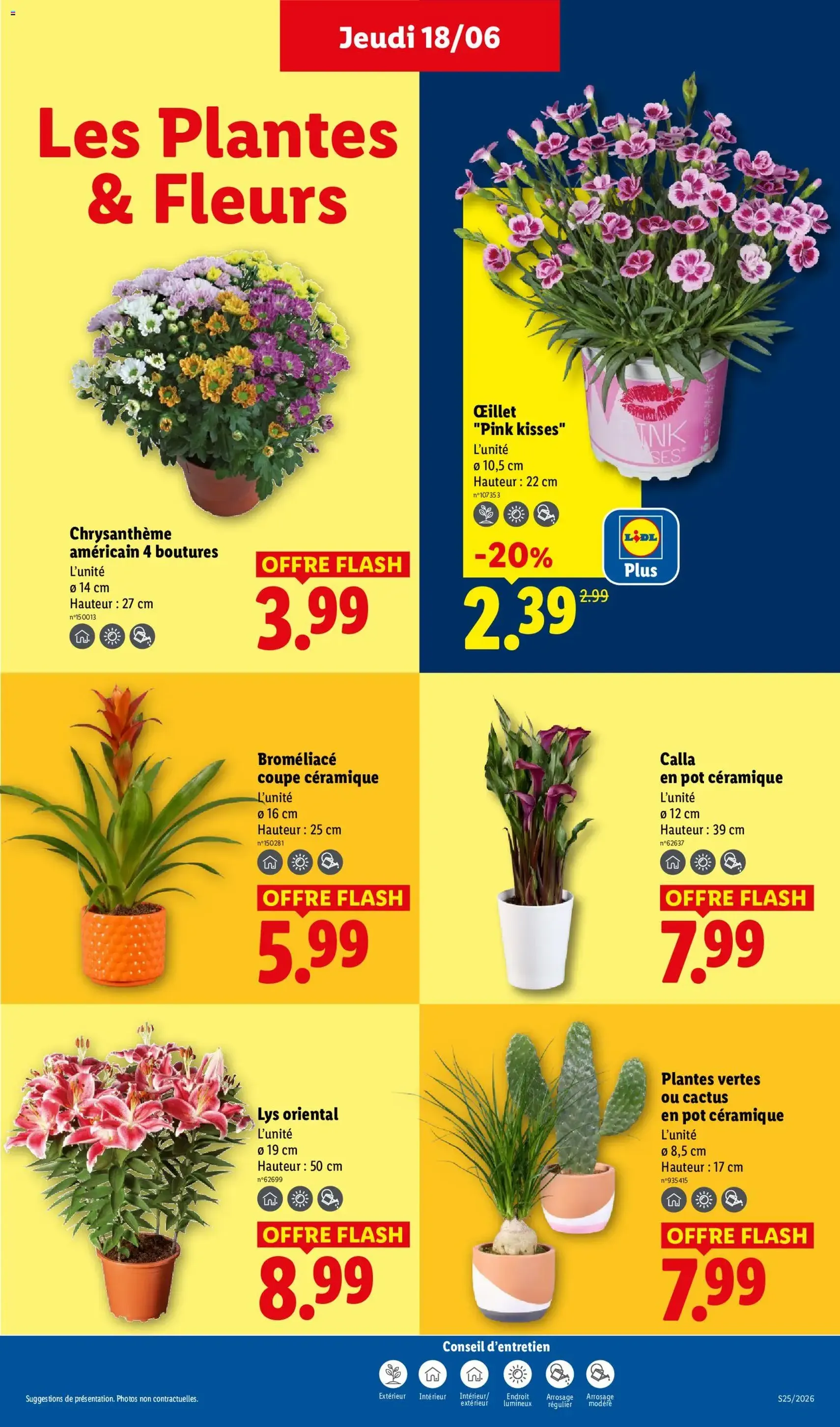 LIDL catalogue - brochure valable à partir du 18/06/2026, page 27 sur 60