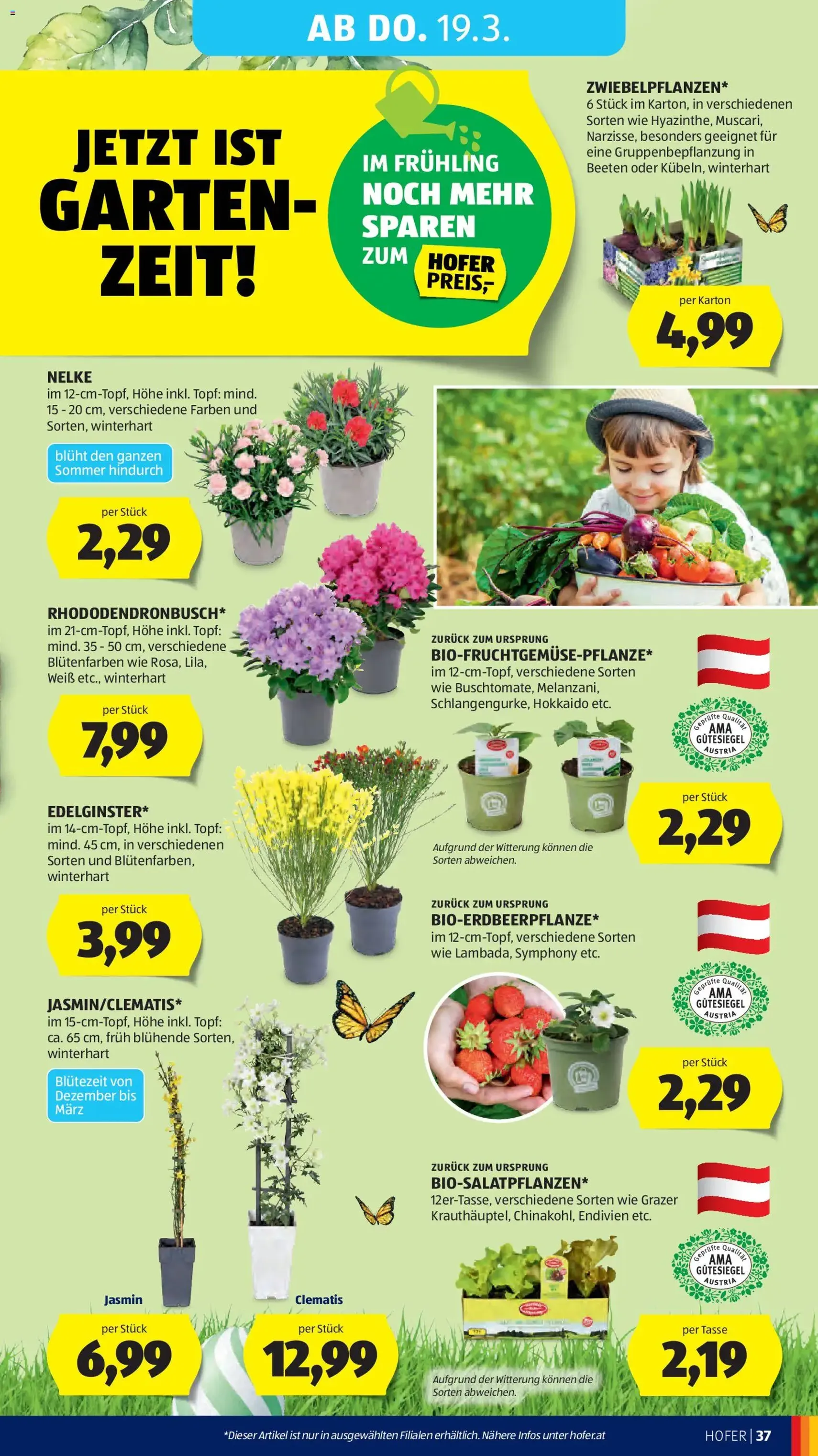 Hofer Flugblatt - Gültiger Prospekt ab 11.03.2026, Seite 44 von insgesamt 48