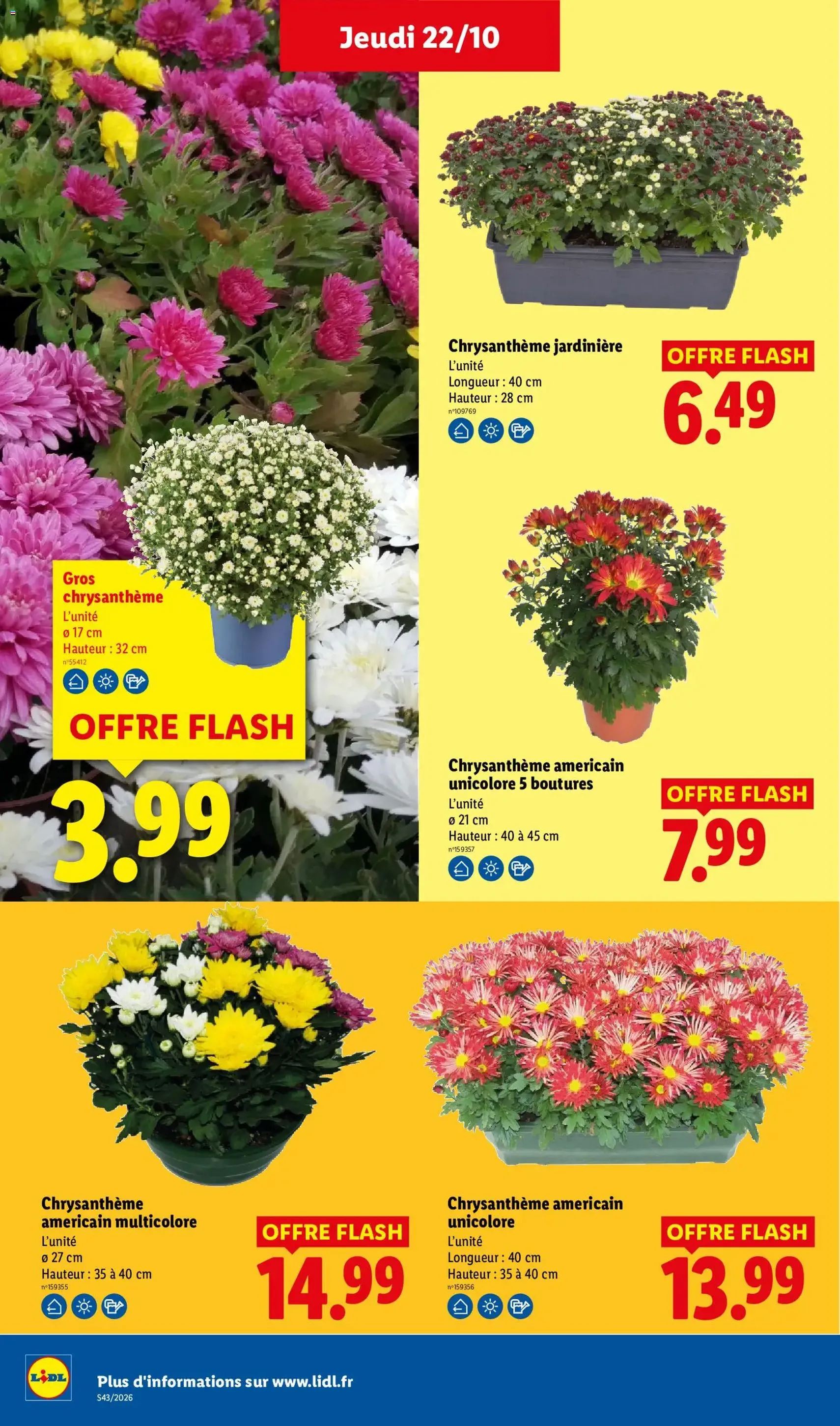 LIDL catalogue - brochure valable à partir du 22/10/2026, page 33 sur 66