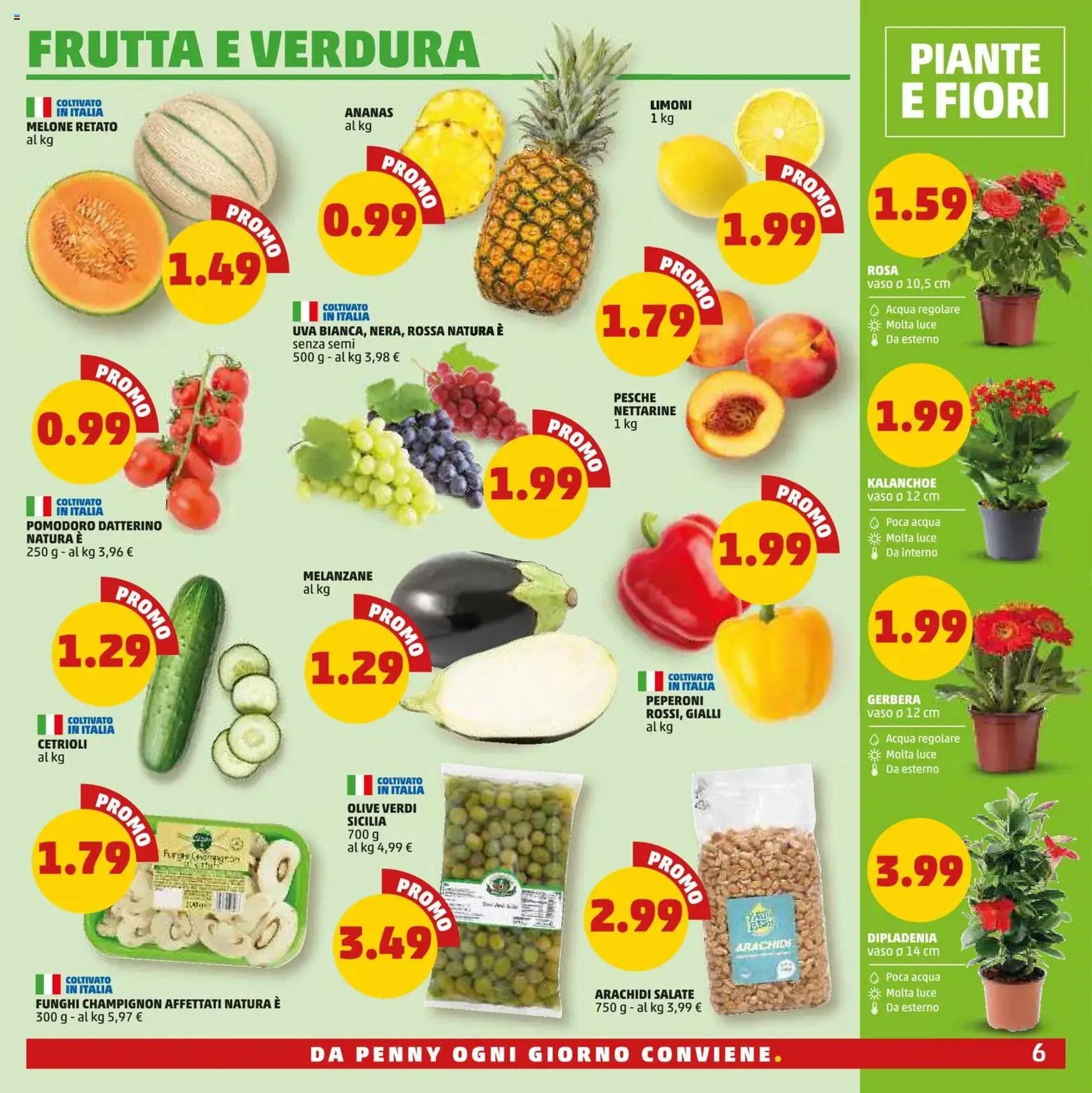 PENNY volantino - volantino valido dal 02/07/2026 pagina 6 di 20
