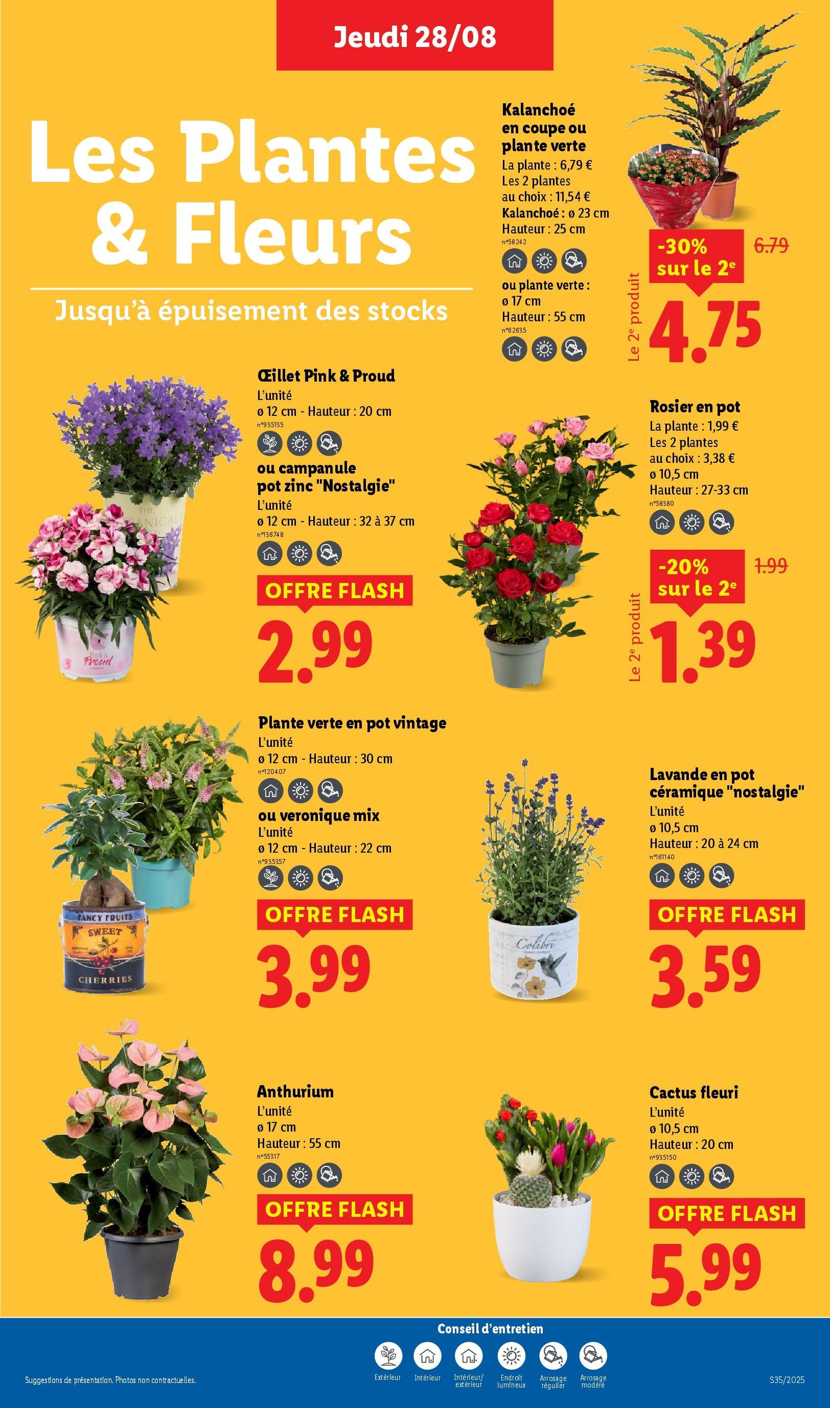 LIDL catalogue semaine 35 - brochure valable à partir du 28/08/2025, page 27 sur 73 LIDL catalogue semaine 35 - brochure valable à partir du 28/08/2025, page 27 sur 73