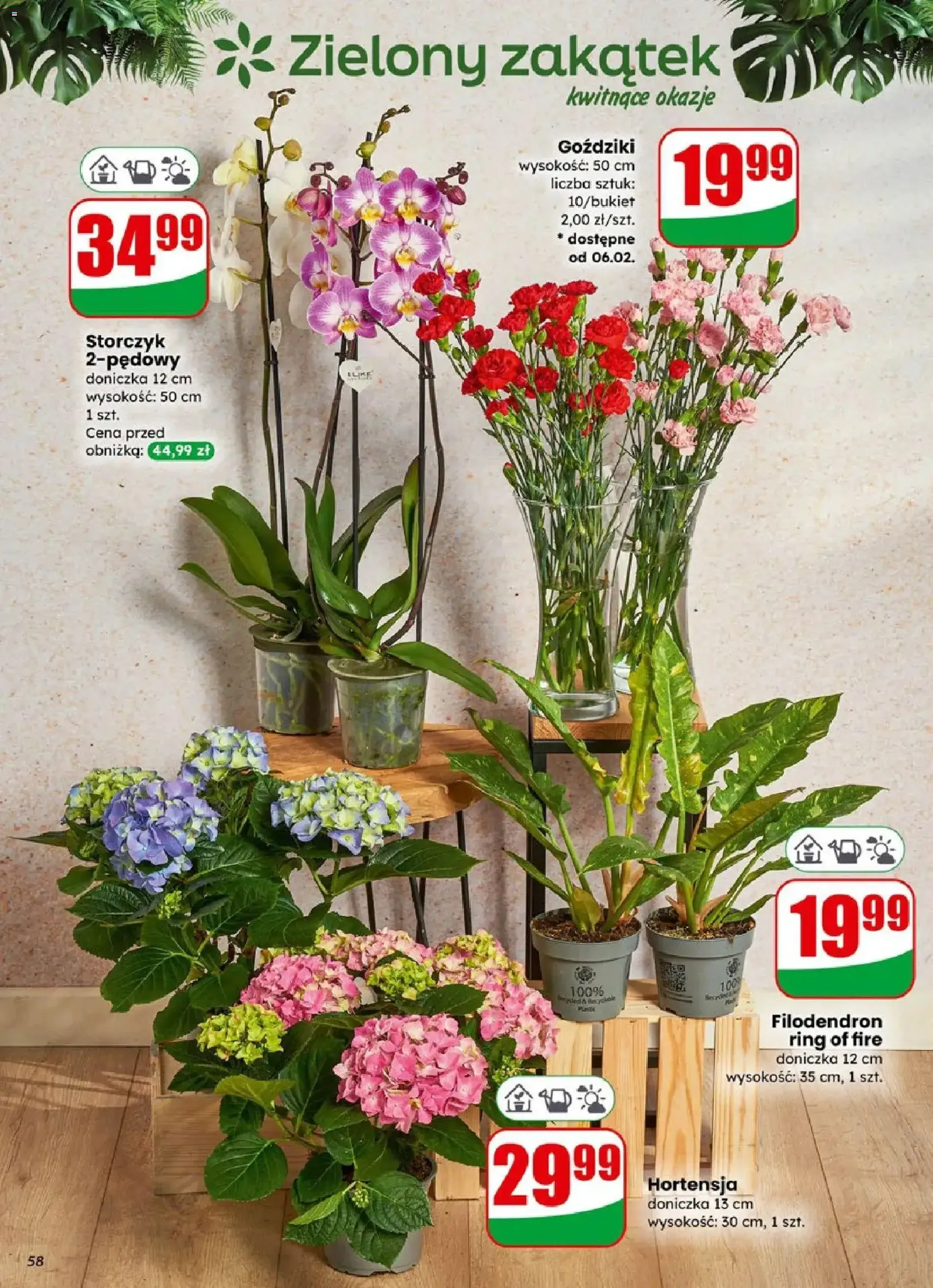 Dino Gazetka - ważny gazetka od 04.02.2026 strona 58 z 73