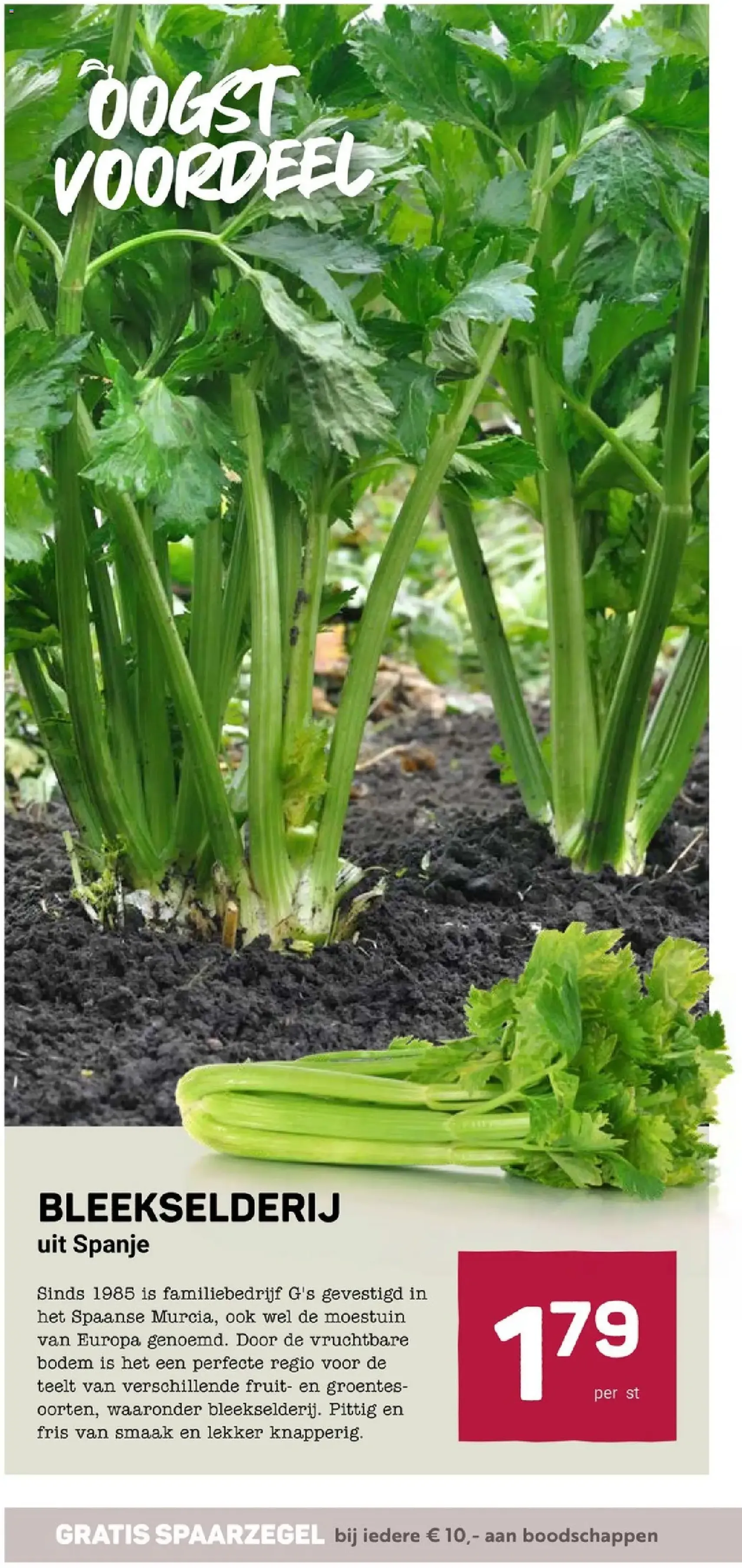 Ekoplaza - Folder week 52 - geldige folder vanaf 27-12-2025 pagina 10 van 20