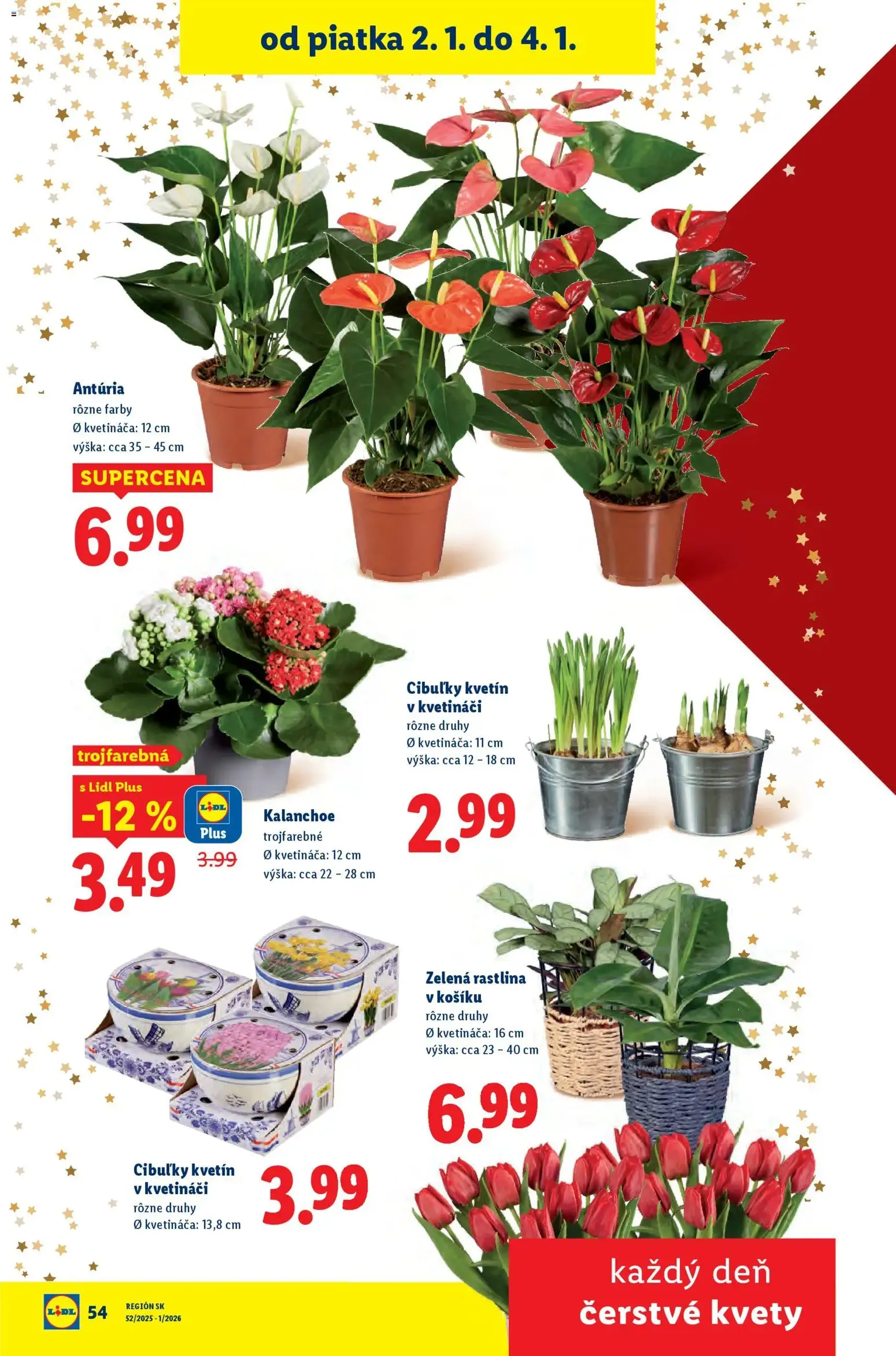 Lidl leták - platný leták od 02.01.2026 strana 20 z 61