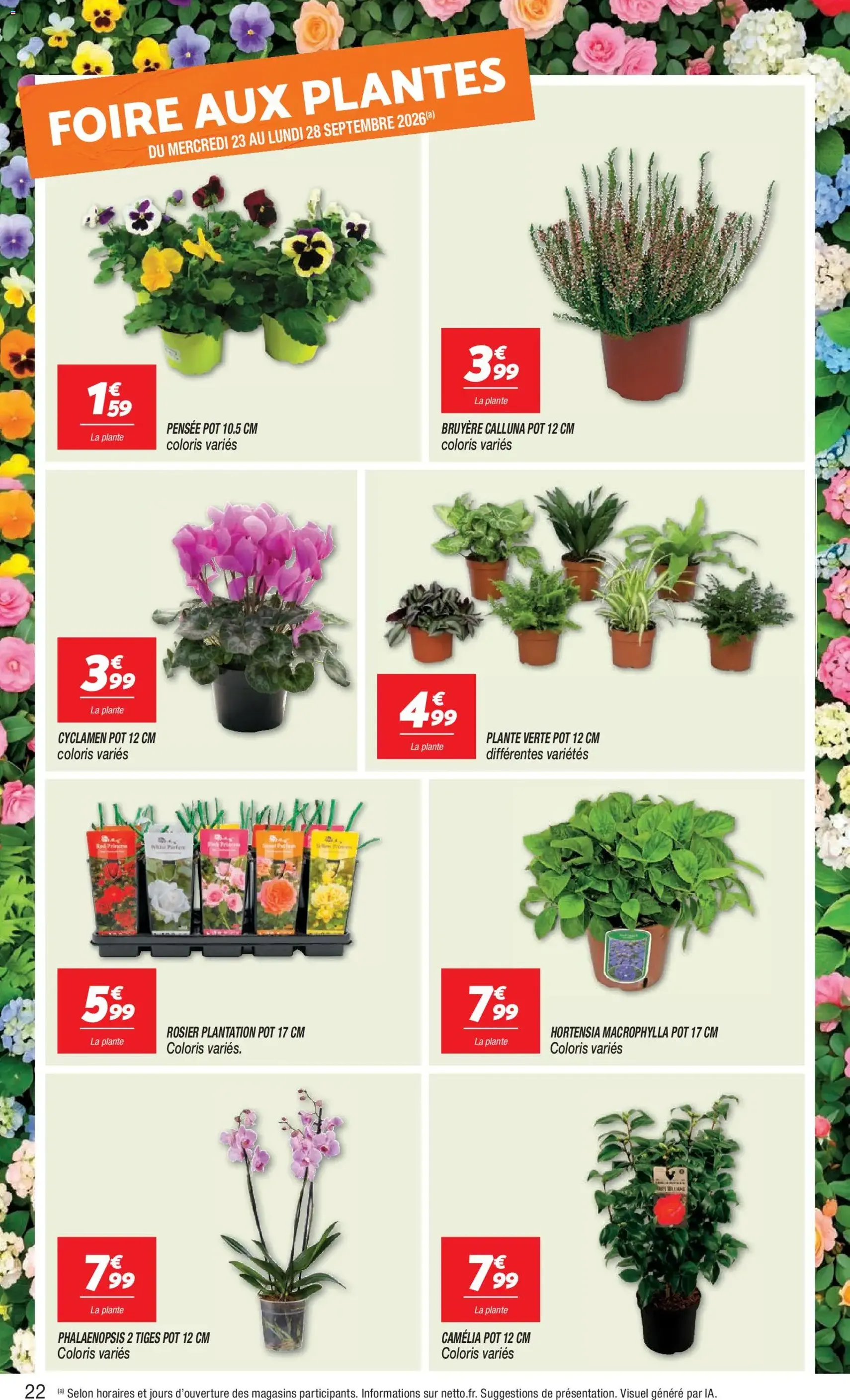 Netto catalogue - brochure valable à partir du 22/09/2026, page 22 sur 24