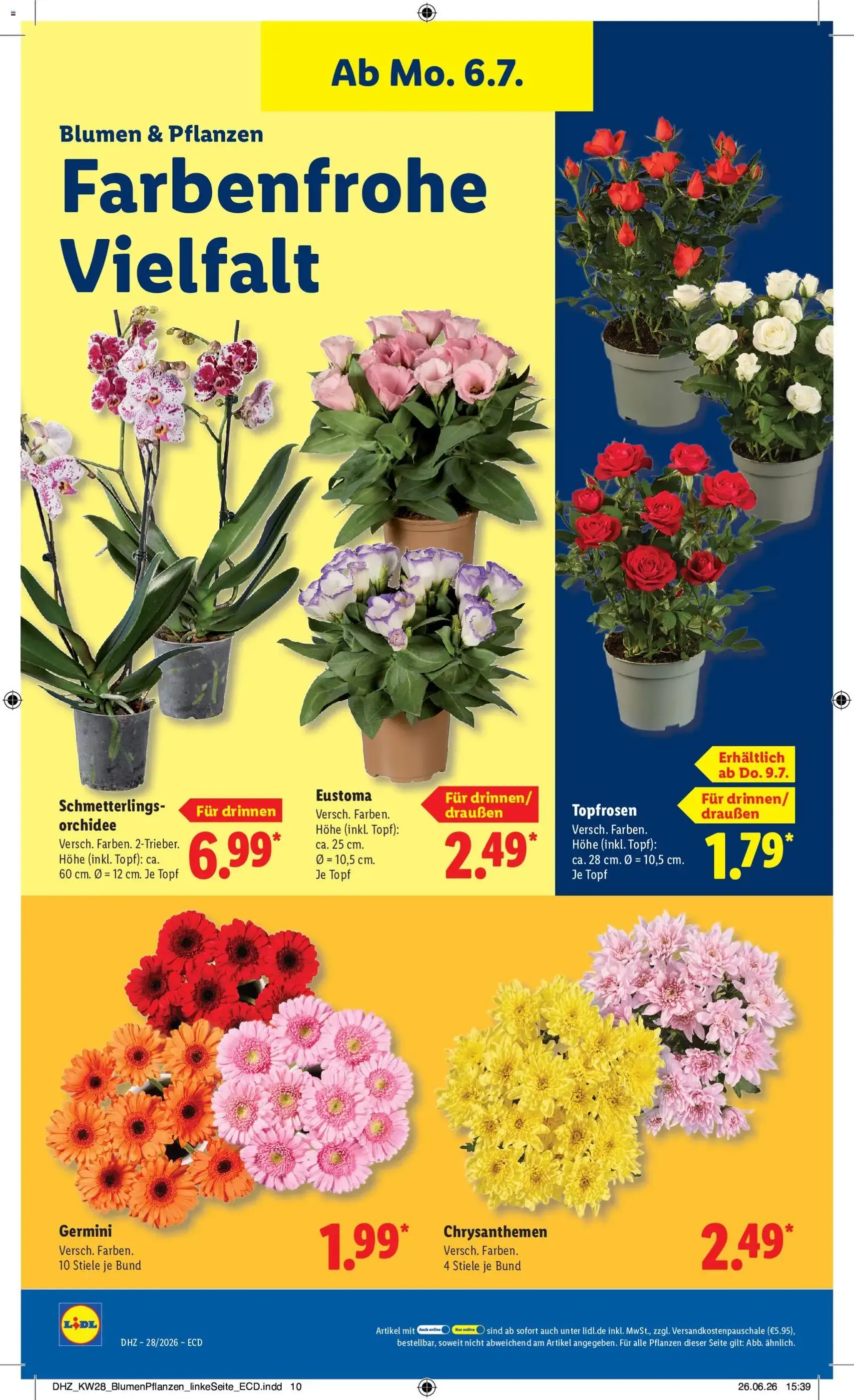 Lidl Prospekt - Gültiger Prospekt ab 06.07.2026, Seite 22 von insgesamt 62