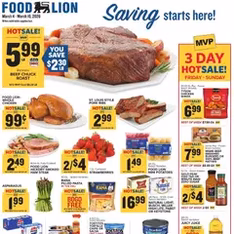 Food Lion Weekly Ad - Flyer preview valid from 03/04/2026