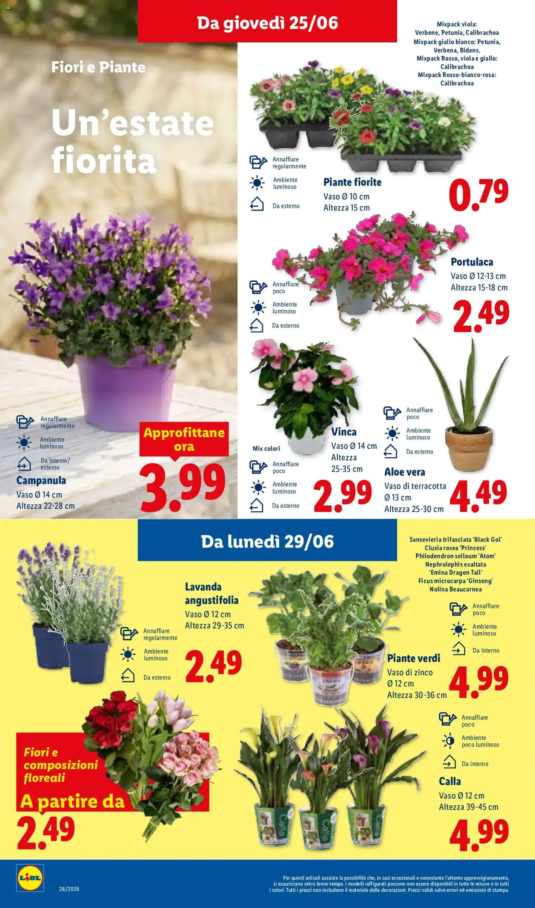 Lidl volantino - volantino valido dal 25/06/2026 pagina 36 di 53