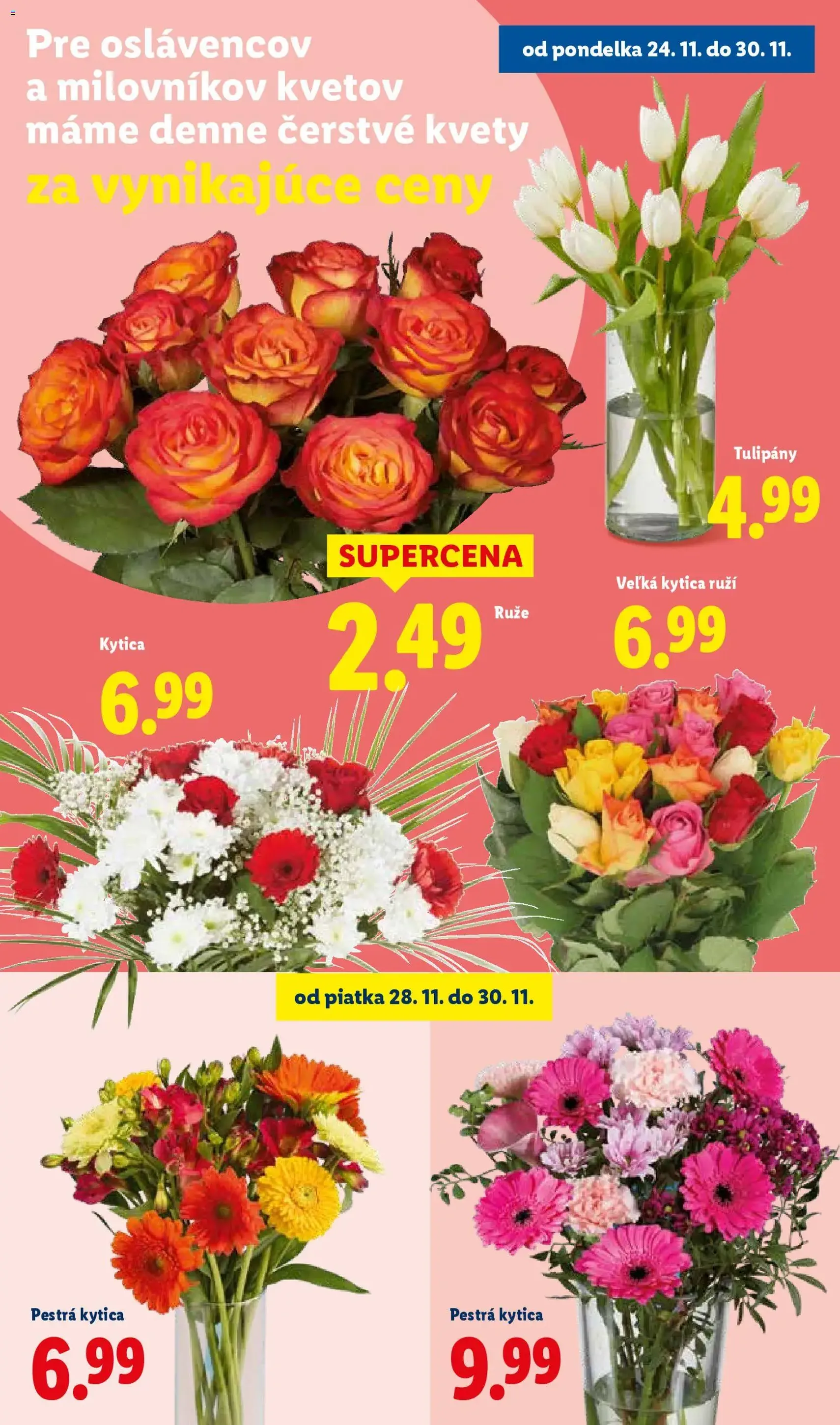 Lidl Black Friday - platný leták od 24.11.2025 strana 76 z 90