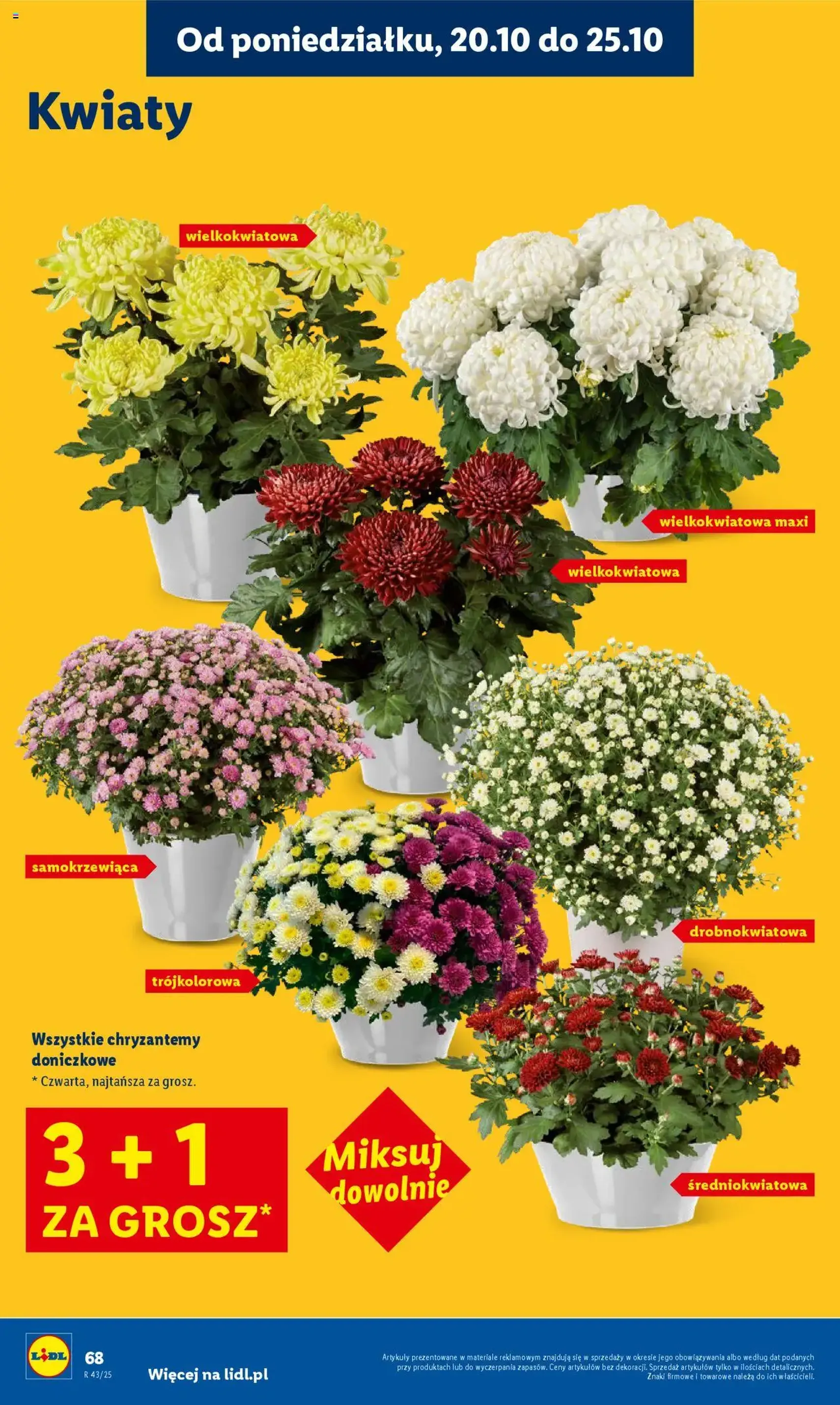 Lidl Gazetka - ważny gazetka od 20.10.2025 strona 68 z 74 Lidl Gazetka - ważny gazetka od 20.10.2025 strona 68 z 74