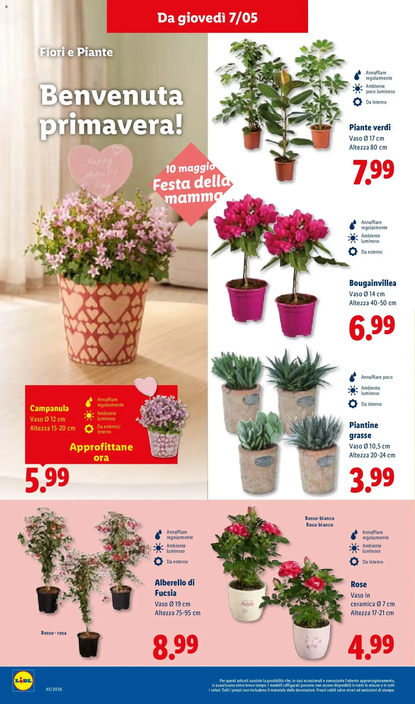 Lidl volantino - volantino valido dal 07/05/2026 pagina 30 di 48