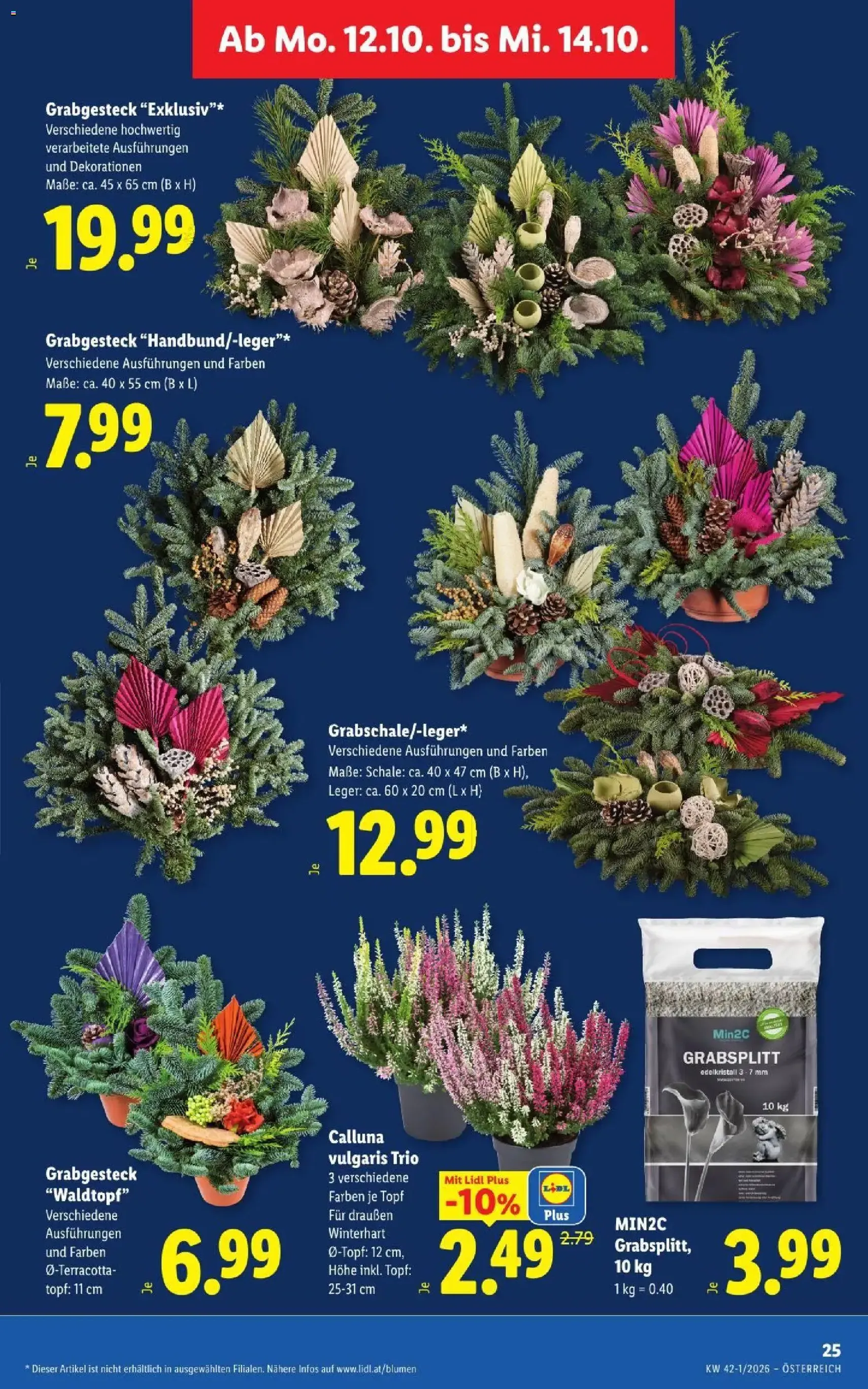 Lidl Flugblatt - Gültiger Prospekt ab 08.10.2026, Seite 34 von insgesamt 56
