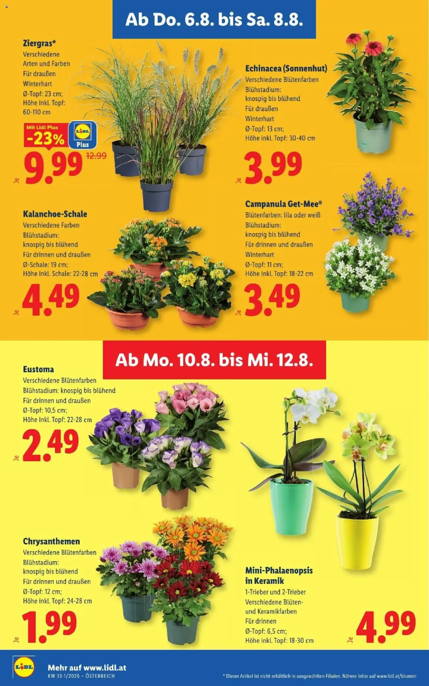 Lidl - Flugblatt - Gültiger Prospekt ab 06.08.2026, Seite 30 von insgesamt 52