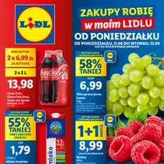Lidl Gazetka - podgląd gazetki ważnej od 11.08.2025